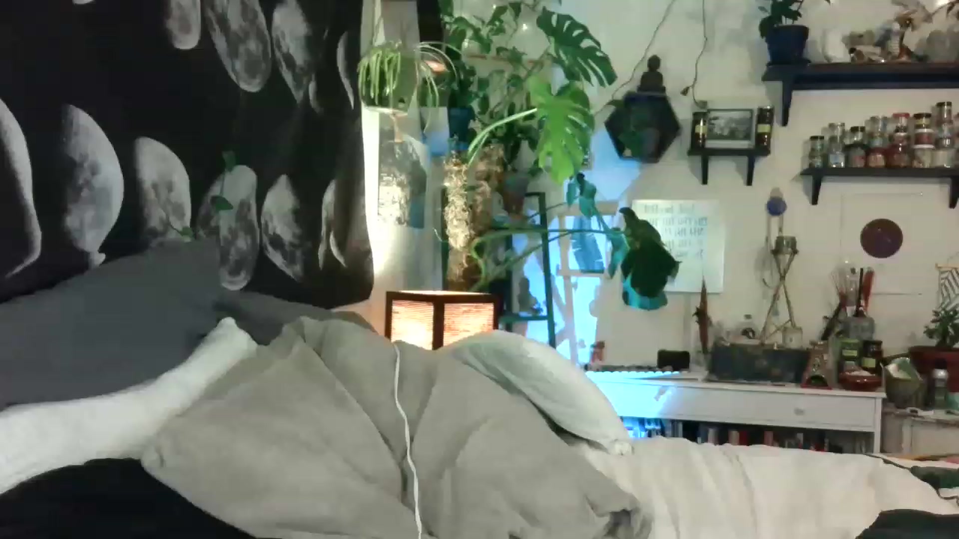 Gallery image thumbnail from LunarLexxx's myfreecams stream on, 06/18/2023, 10:59 image 10 of 20
