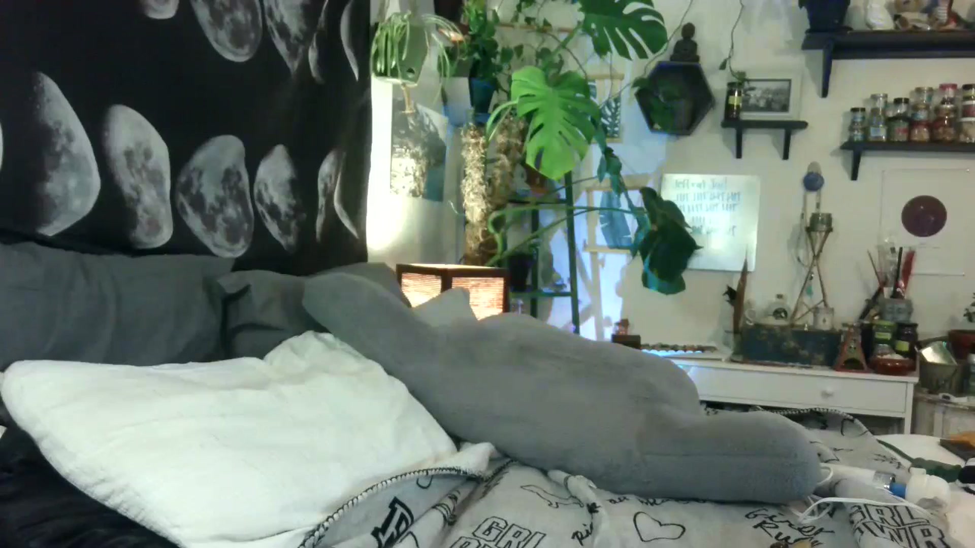 Gallery image thumbnail from LunarLexxx's myfreecams stream on, 06/26/2023, 07:35 image 6 of 20
