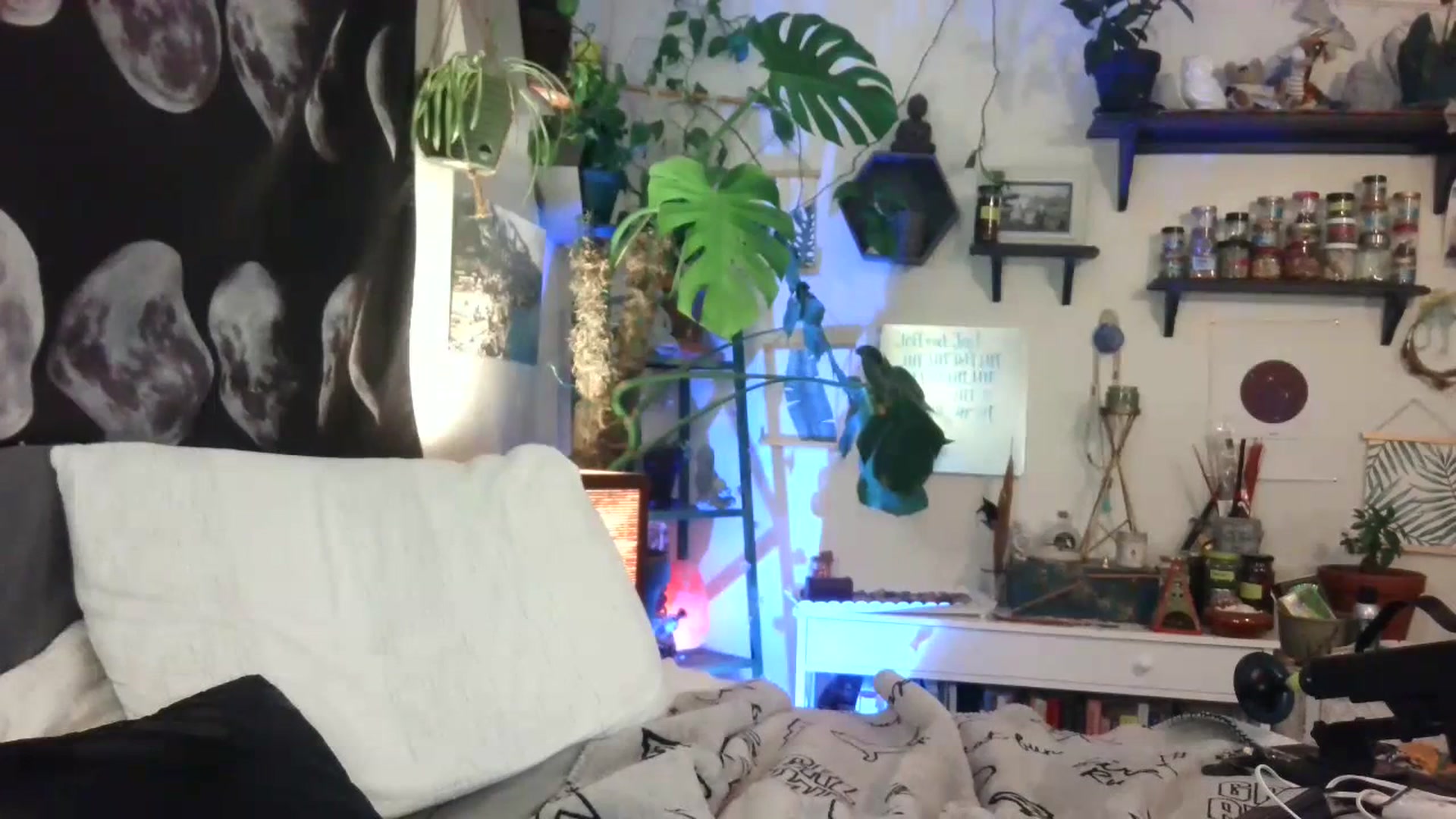 Gallery image thumbnail from LunarLexxx's myfreecams stream on, 06/27/2023, 08:13 image 20 of 20
