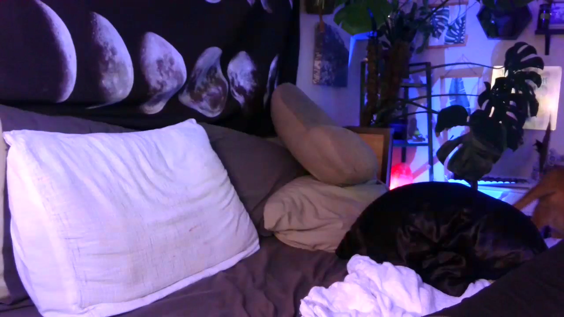 Gallery image thumbnail from LunarLexxx's myfreecams stream on, 07/02/2023, 10:29 image 16 of 20