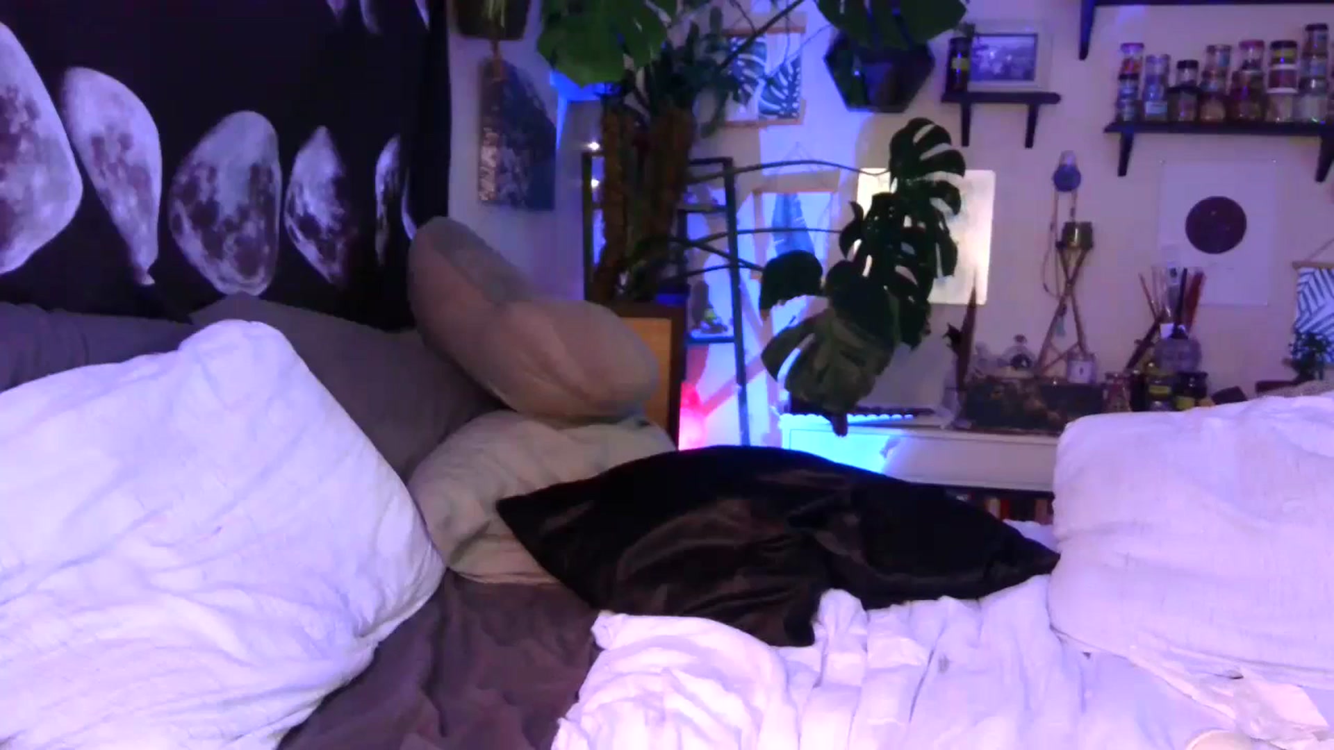 Gallery image thumbnail from LunarLexxx's myfreecams stream on, 07/02/2023, 13:24 image 13 of 20