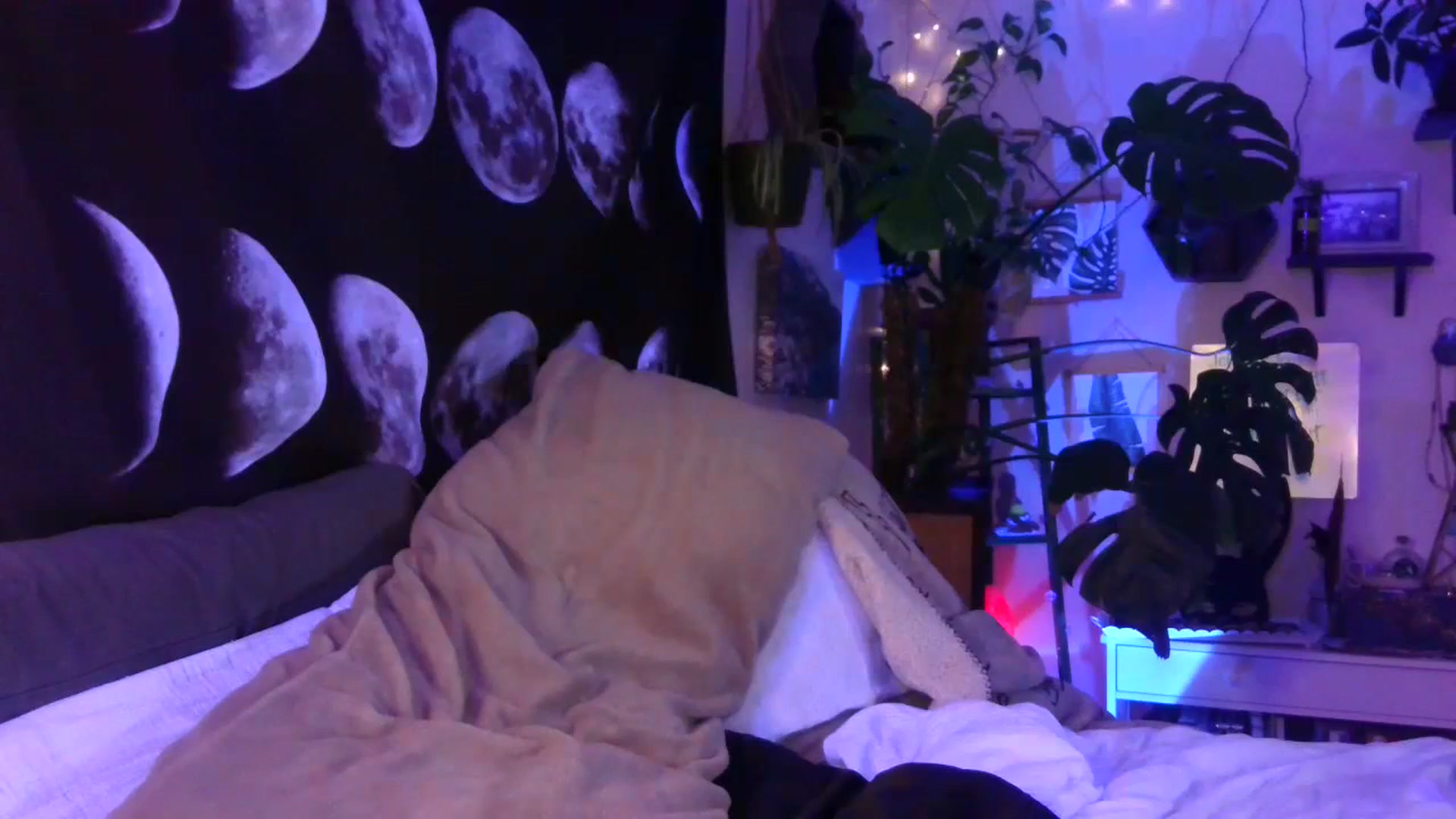Gallery image thumbnail from LunarLexxx's myfreecams stream on, 07/06/2023, 08:34 image 12 of 20