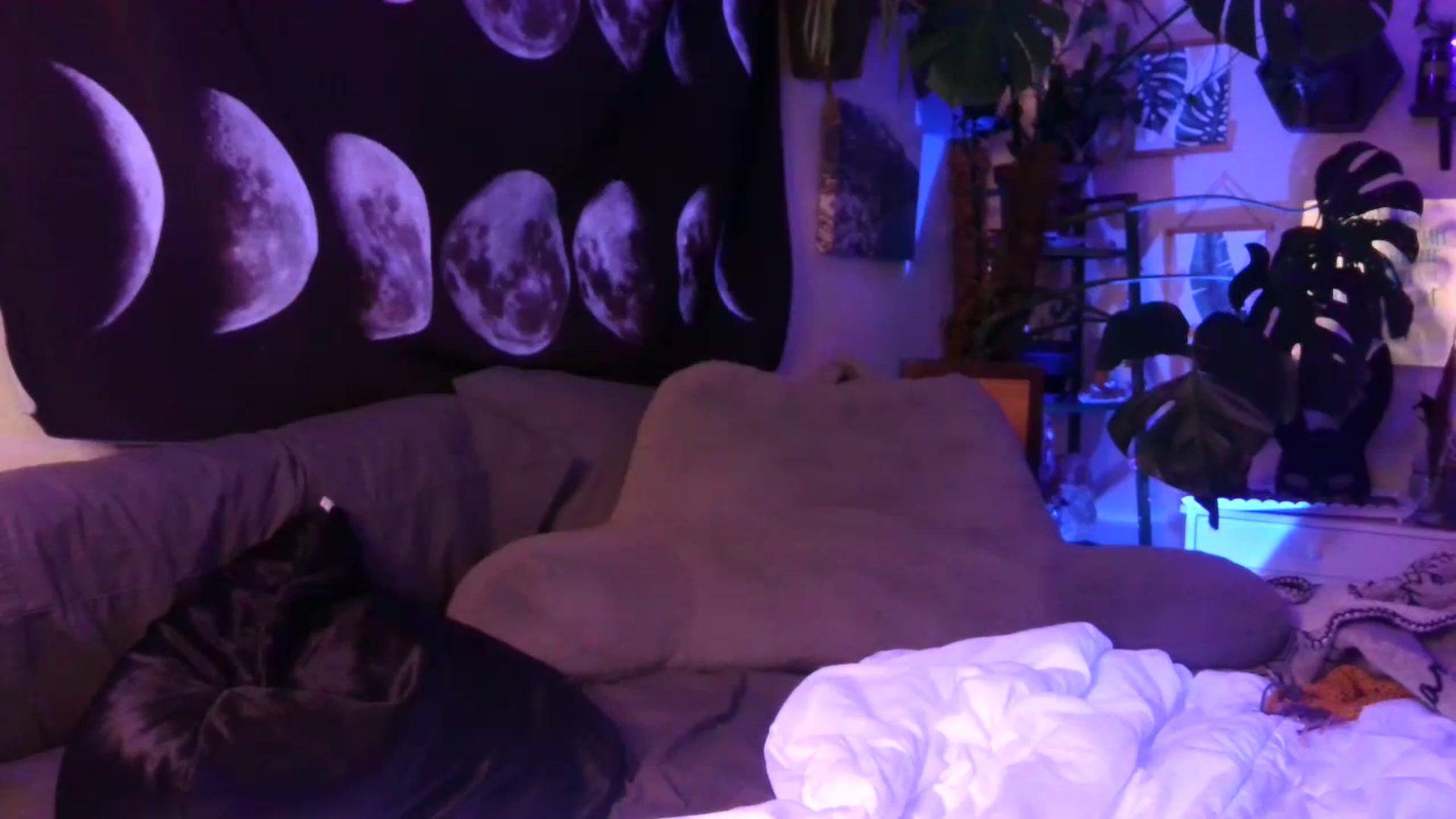 Gallery image thumbnail from LunarLexxx's myfreecams stream on, 07/07/2023, 11:58 image 9 of 20