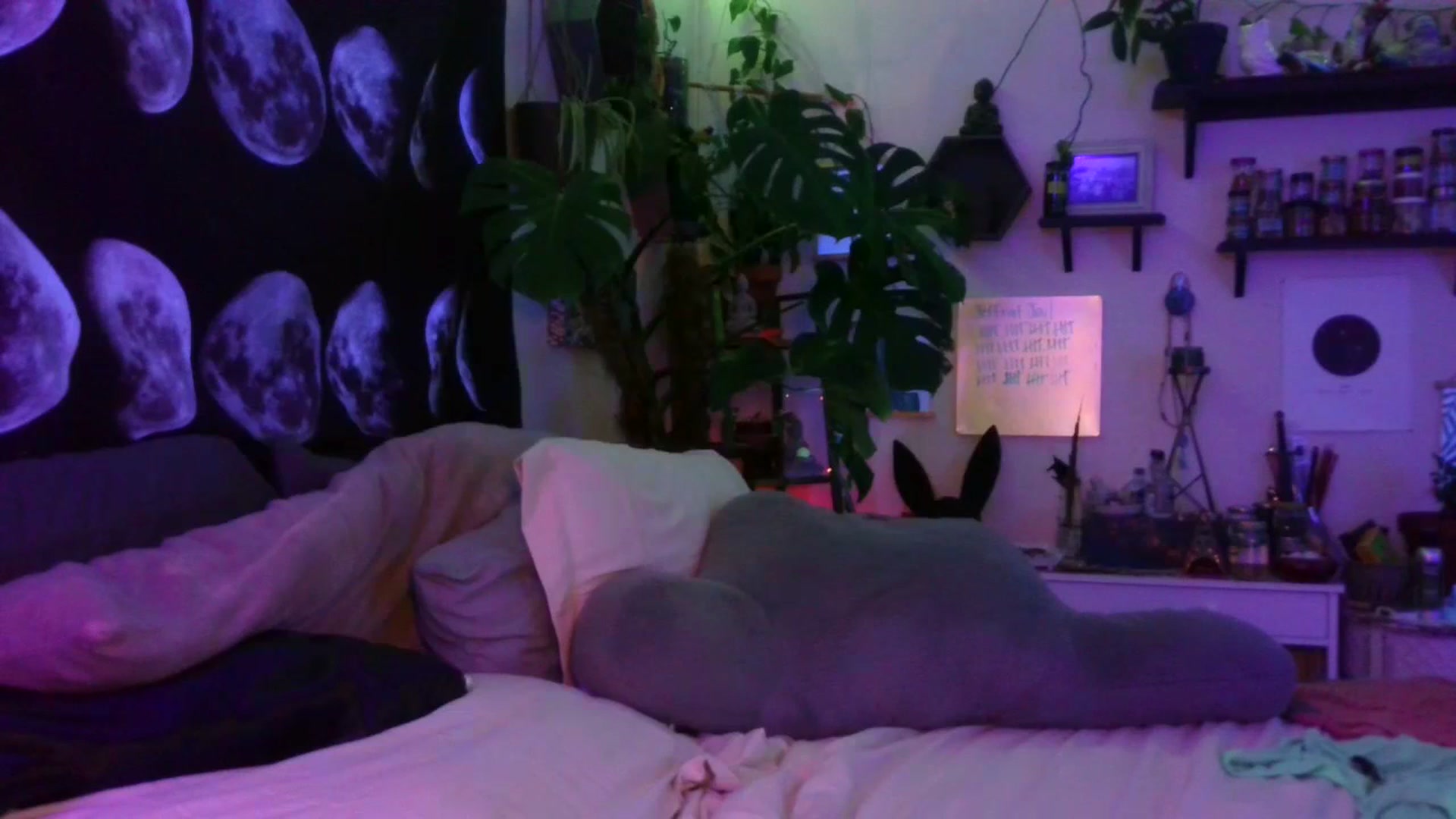 Gallery image thumbnail from LunarLexxx's myfreecams stream on, 07/21/2023, 09:03 image 10 of 20