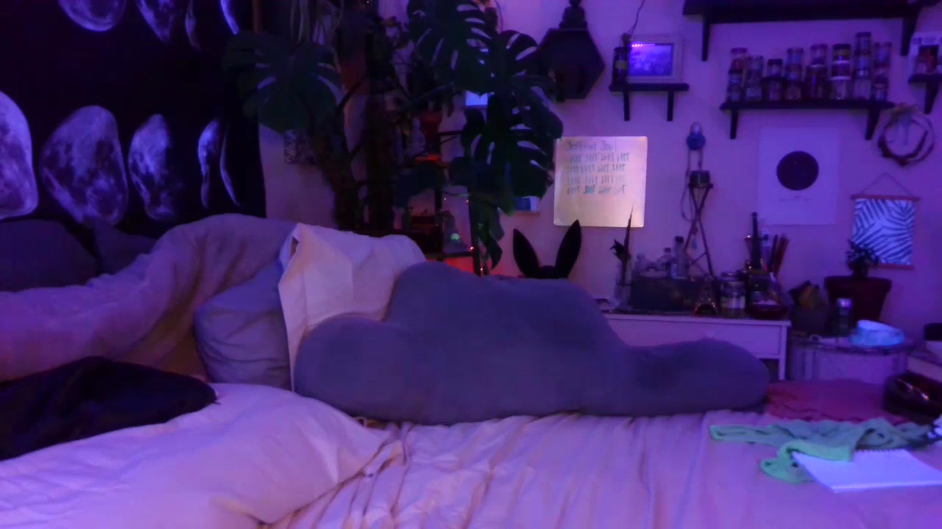 Gallery image thumbnail from LunarLexxx's myfreecams stream on, 07/21/2023, 11:57 image 4 of 20