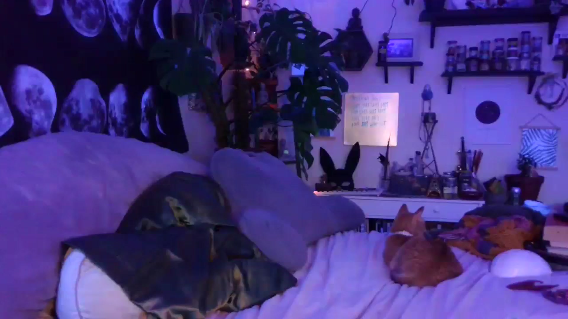 Gallery image thumbnail from LunarLexxx's myfreecams stream on, 07/23/2023, 12:53 image 6 of 20