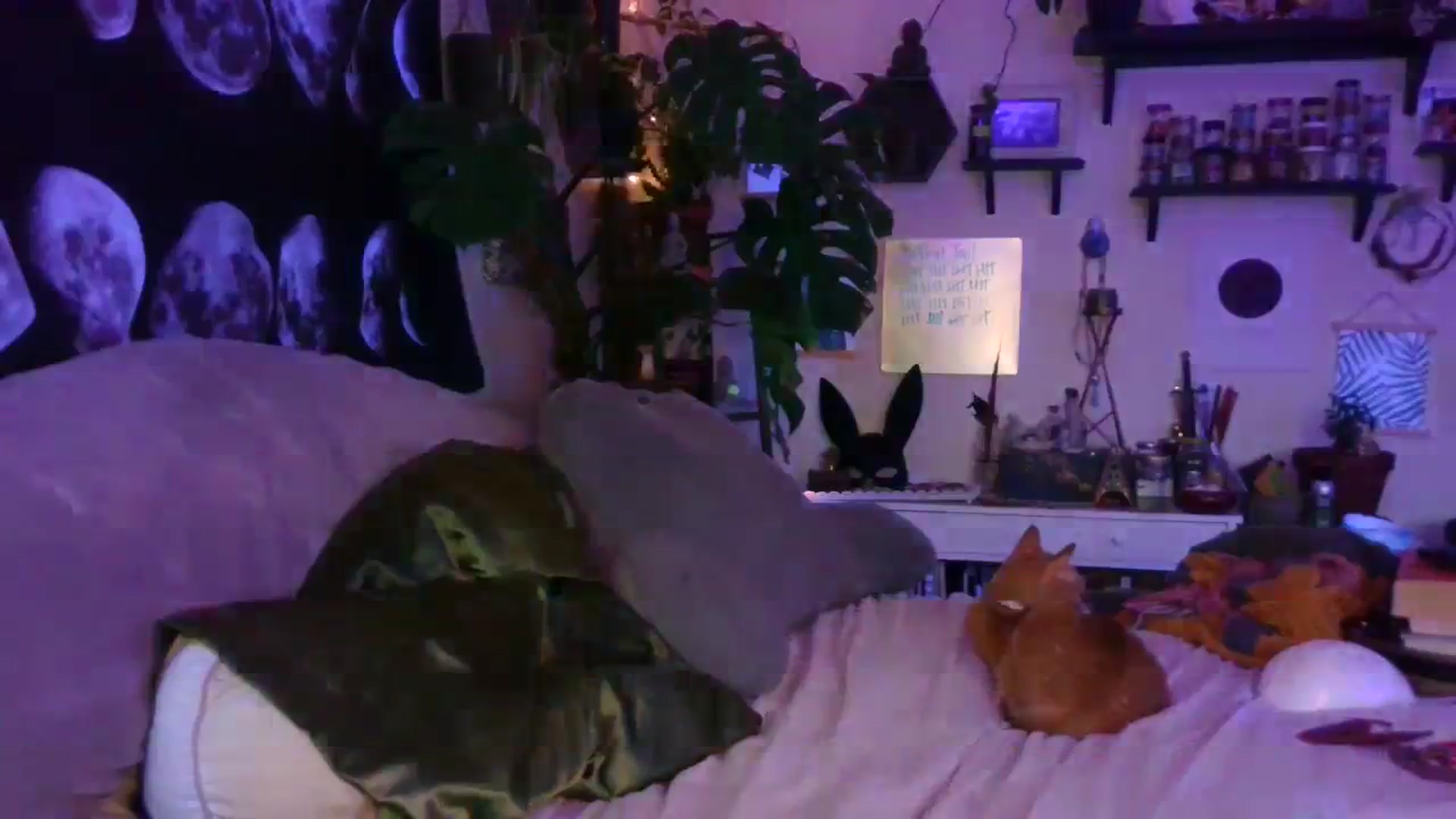 Gallery image thumbnail from LunarLexxx's myfreecams stream on, 07/23/2023, 12:53 image 7 of 20