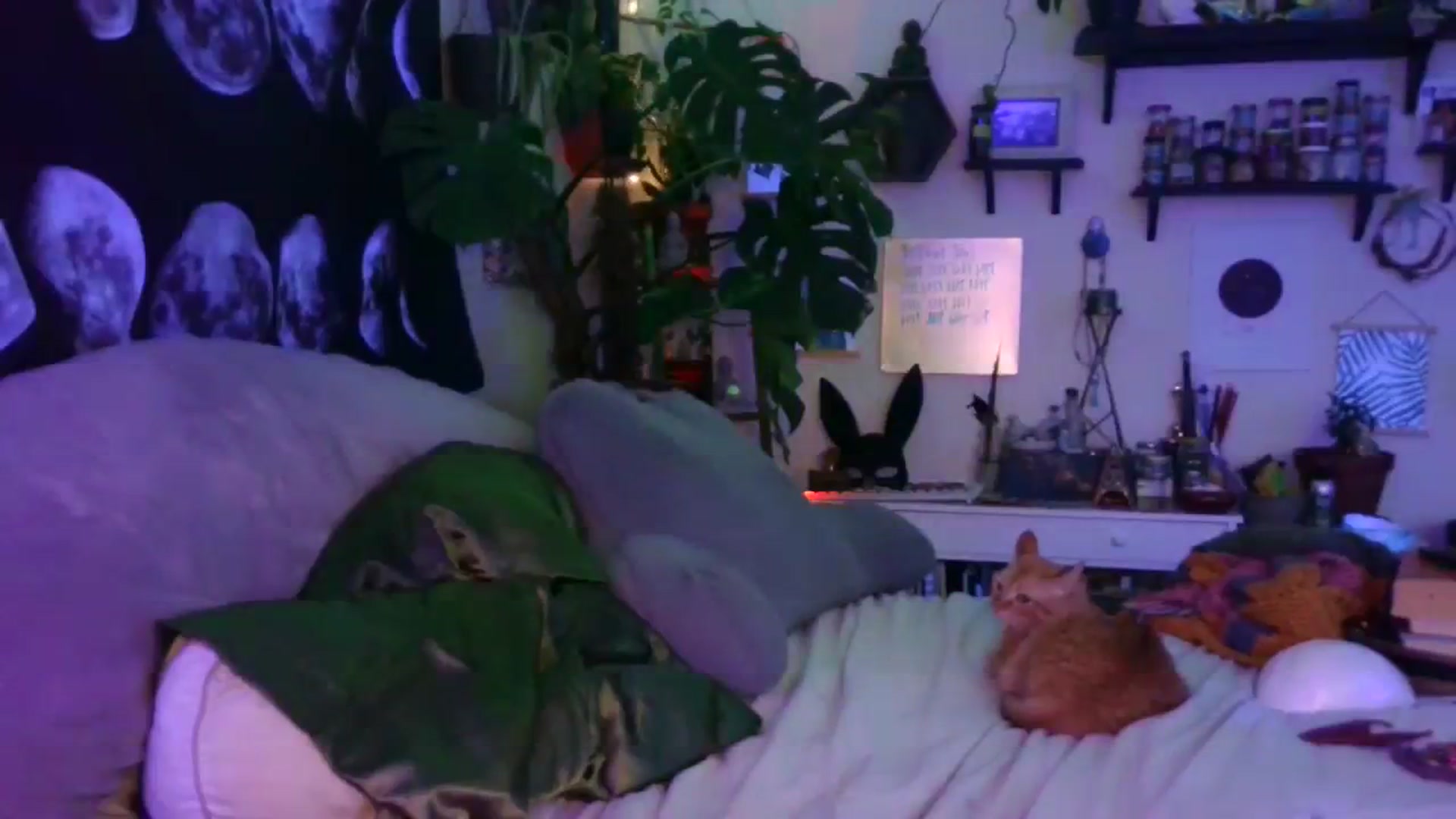 Gallery image thumbnail from LunarLexxx's myfreecams stream on, 07/23/2023, 12:53 image 5 of 20