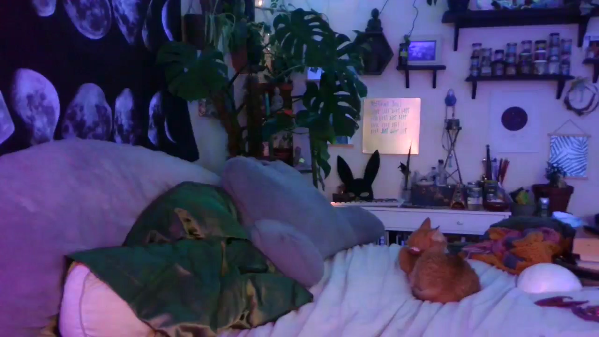 Gallery image thumbnail from LunarLexxx's myfreecams stream on, 07/23/2023, 12:53 image 8 of 20