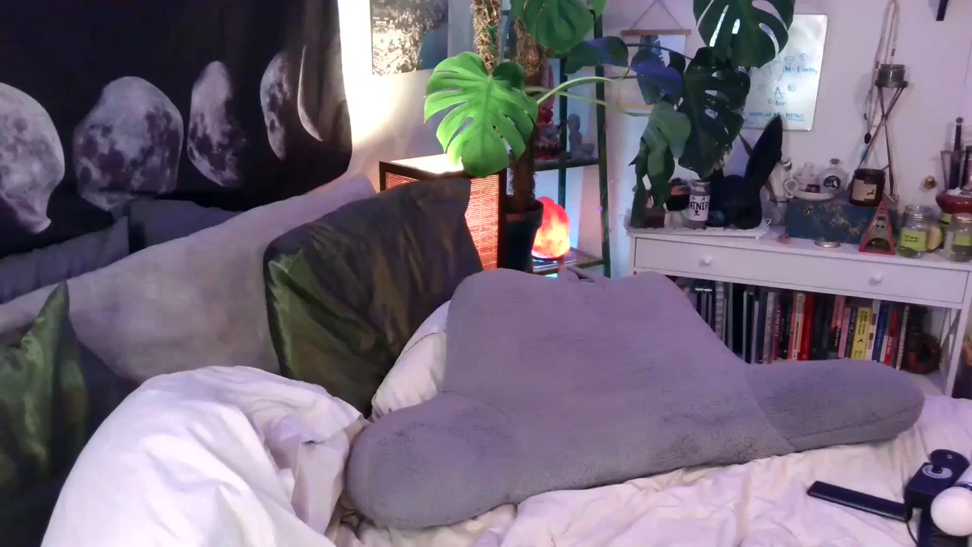 Gallery image thumbnail from LunarLexxx's myfreecams stream on, 11/02/2023, 09:04 image 17 of 20