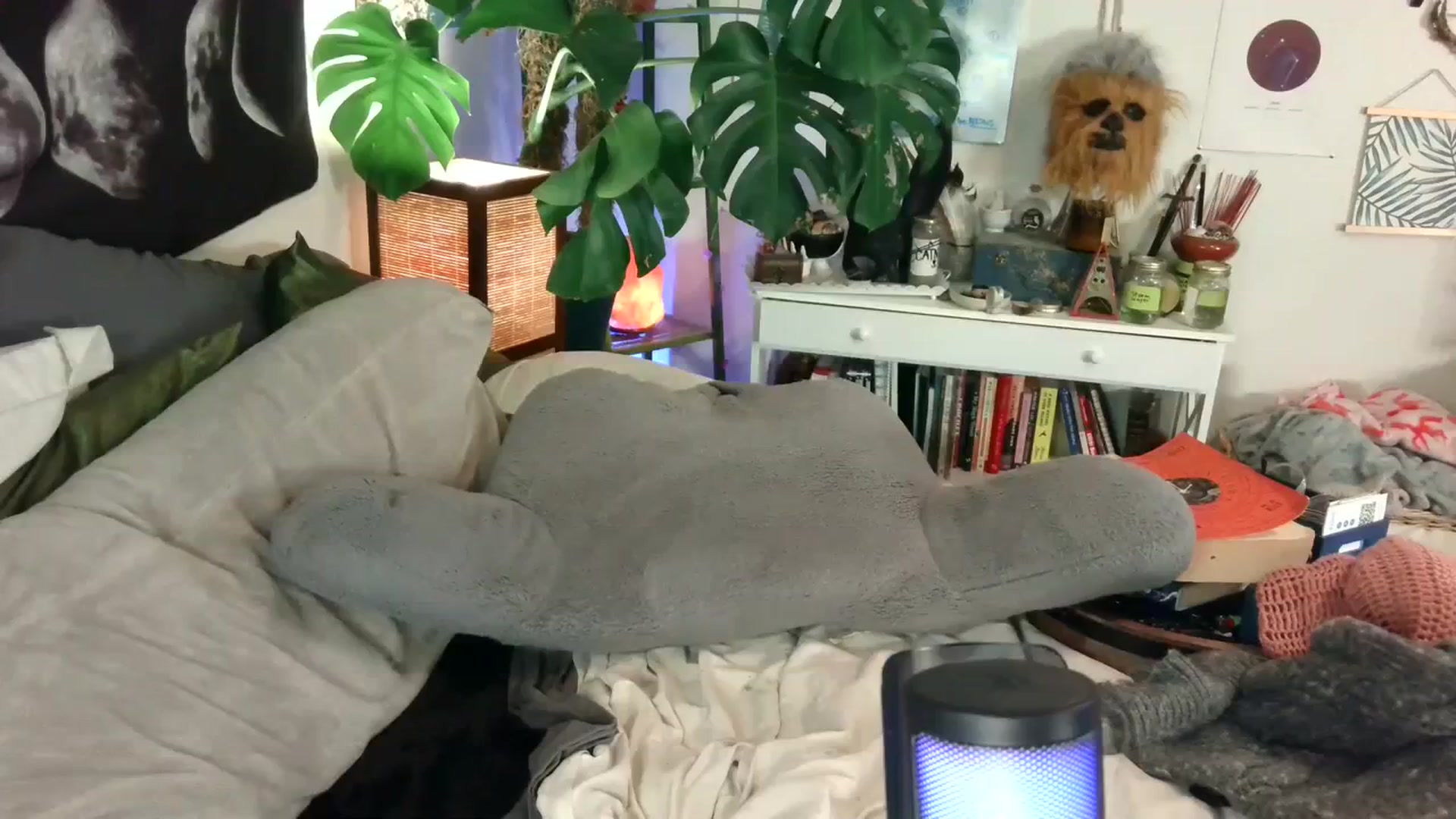 Gallery image thumbnail from LunarLexxx's myfreecams stream on, 11/16/2023, 12:31 image 15 of 20