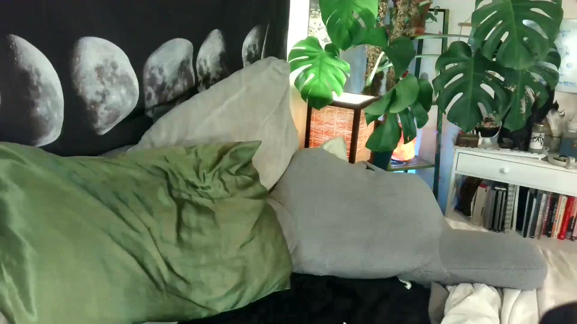Gallery image thumbnail from LunarLexxx's myfreecams stream on, 11/19/2023, 12:12 image 17 of 20