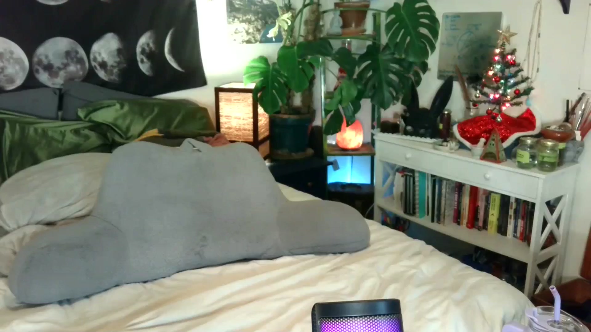 Gallery image thumbnail from LunarLexxx's myfreecams stream on, 12/24/2023, 12:13 image 10 of 20