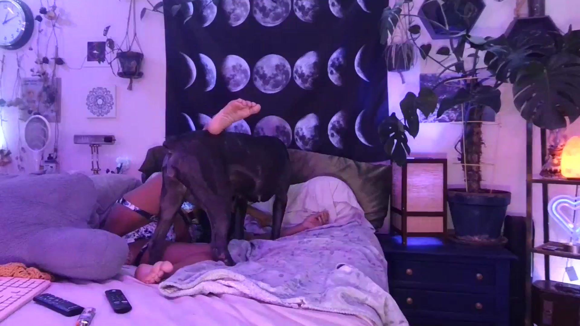 Gallery image thumbnail from LunarLexxx's myfreecams stream on, 03/09/2024, 10:47 image 14 of 20