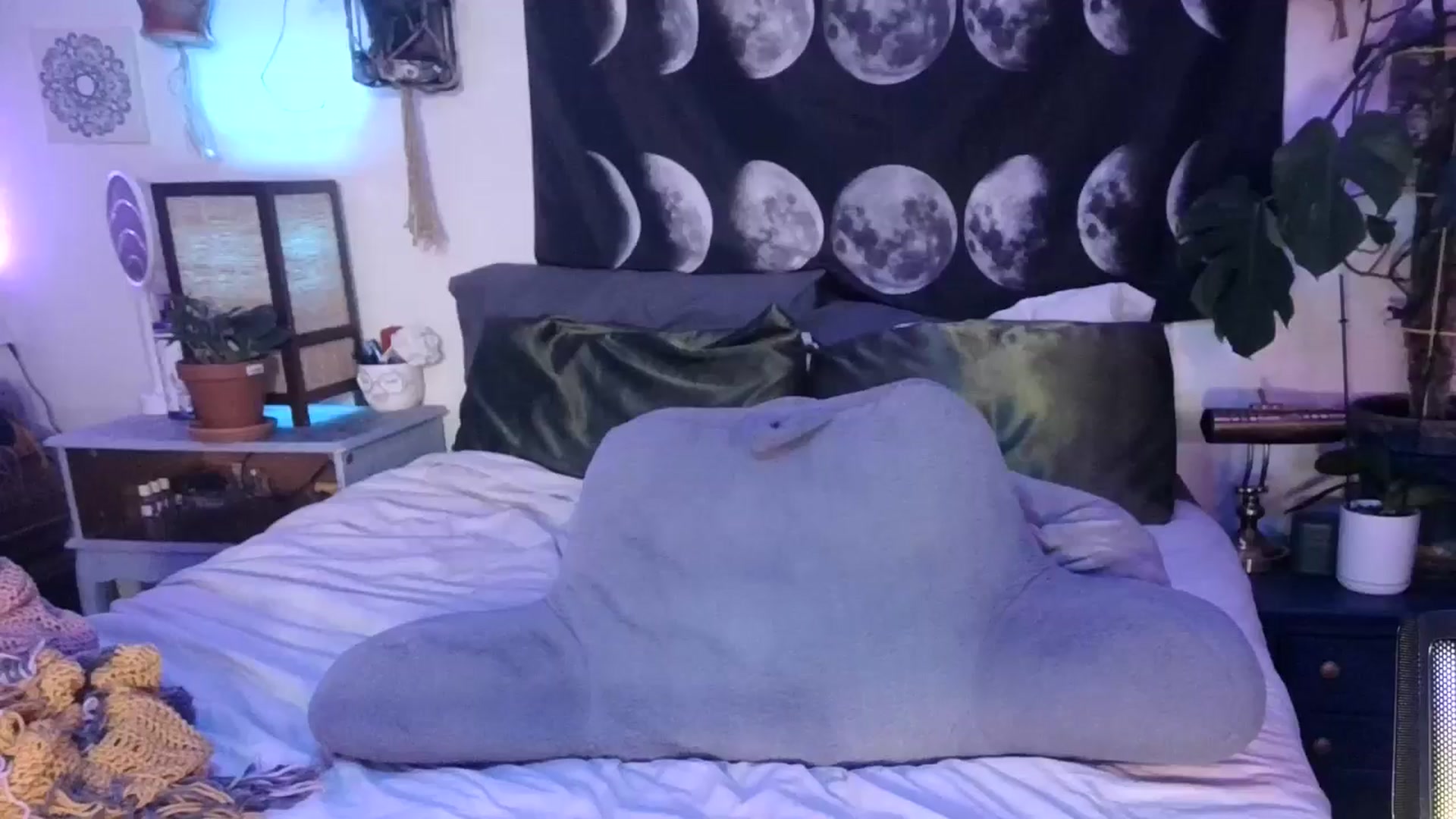 Gallery image thumbnail from LunarLexxx's myfreecams stream on, 04/19/2024, 10:04 image 1 of 20