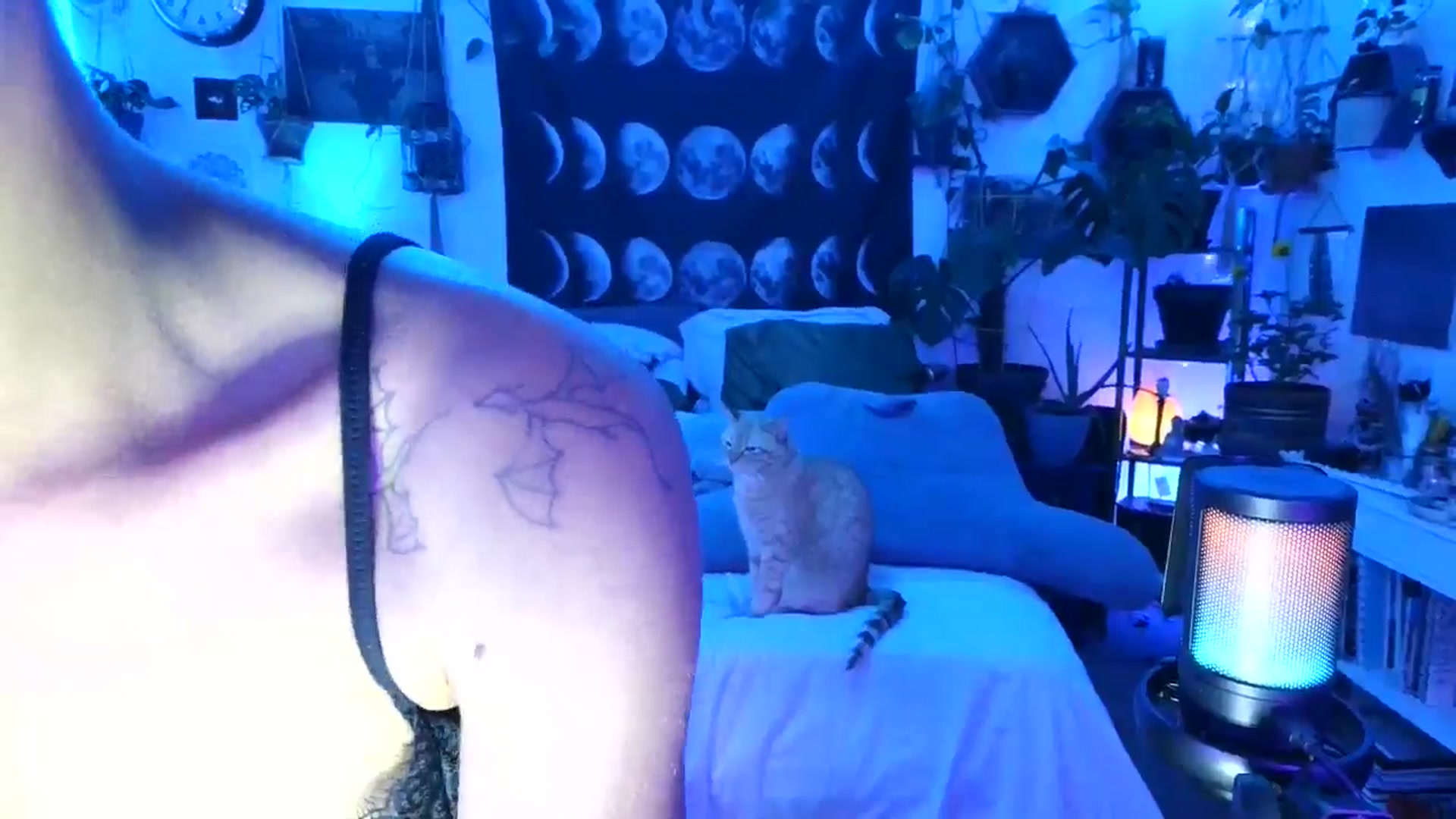 Gallery image thumbnail from LunarLexxx's myfreecams stream on, 05/12/2024, 10:46 image 2 of 20