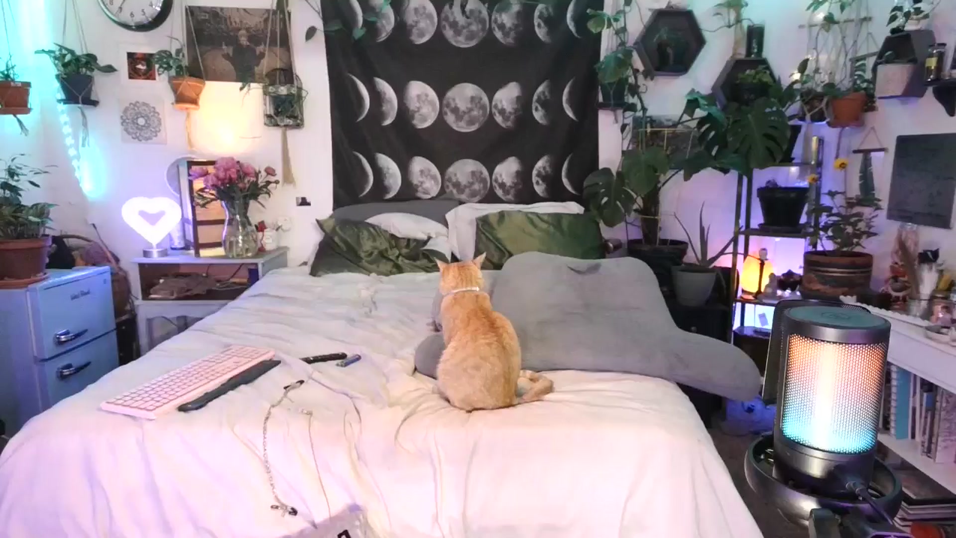 Gallery image thumbnail from LunarLexxx's myfreecams stream on, 05/12/2024, 10:46 image 1 of 20