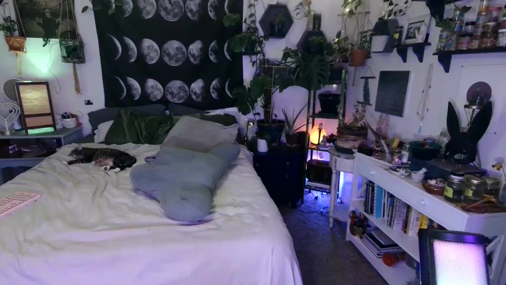 Gallery image thumbnail from LunarLexxx's myfreecams stream on, 05/31/2024, 09:50 image 7 of 20
