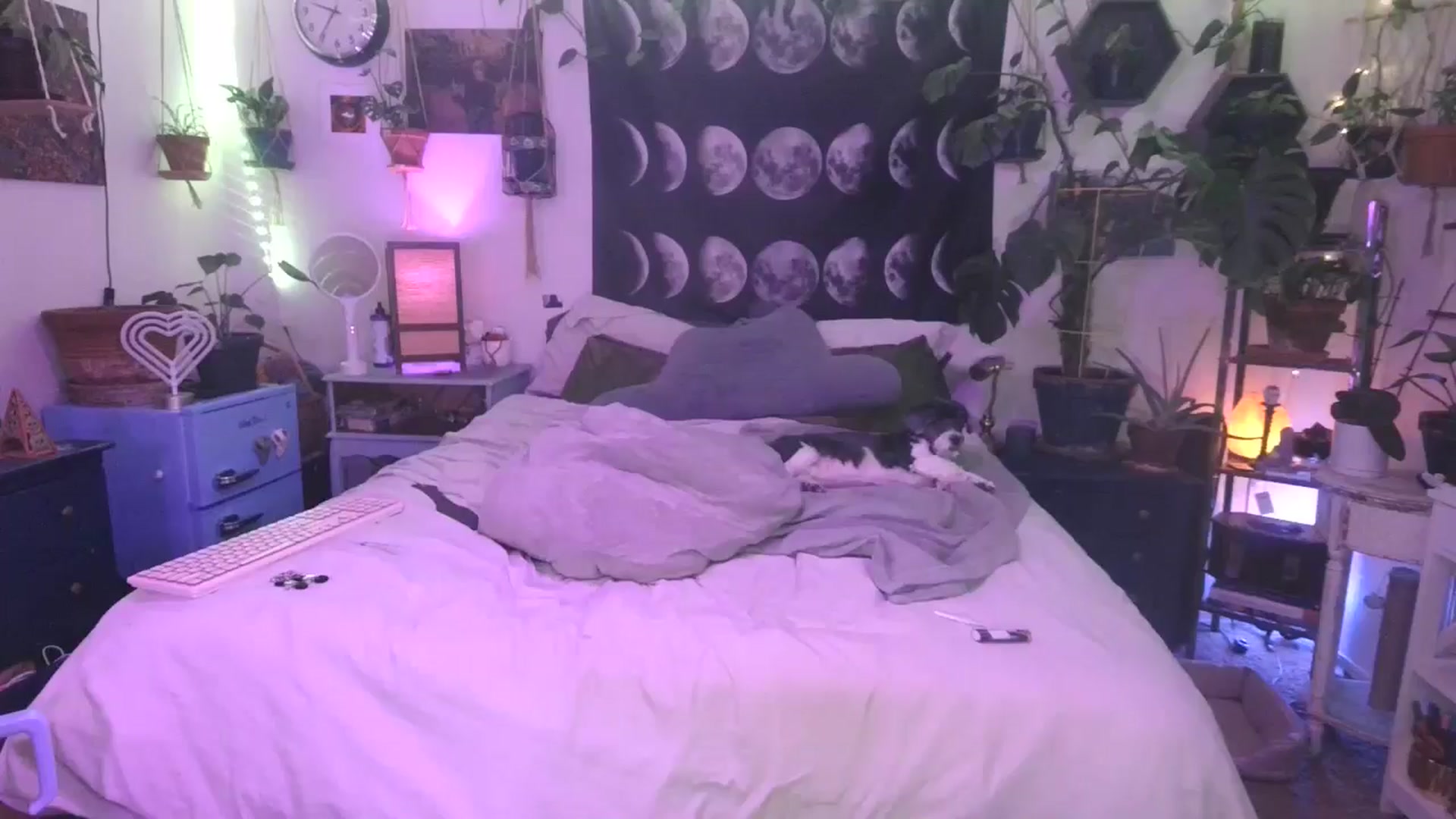 Gallery image thumbnail from LunarLexxx's myfreecams stream on, 06/29/2024, 12:48 image 9 of 20