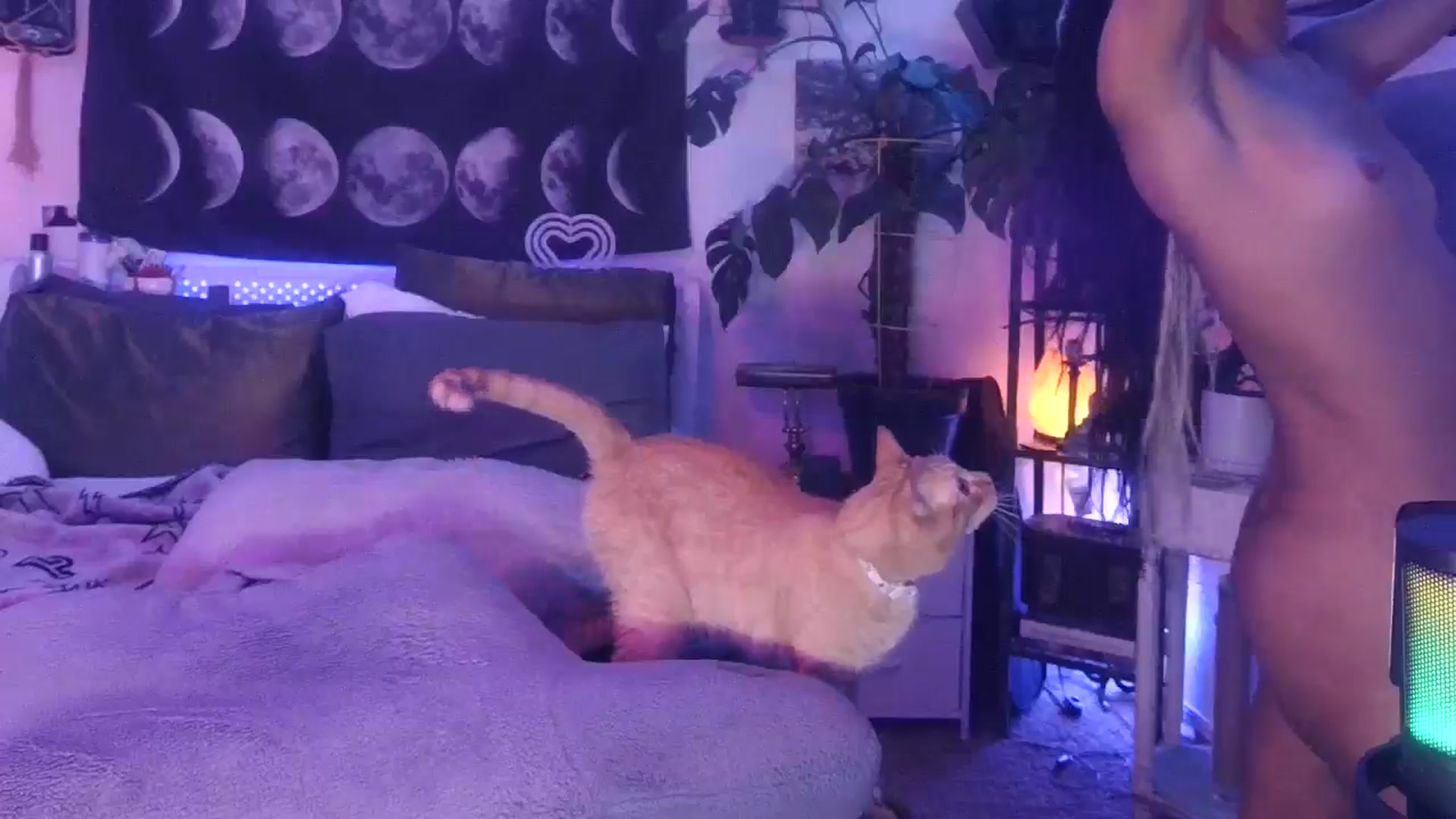 Gallery image thumbnail from LunarLexxx's myfreecams stream on, 07/27/2024, 10:15 image 2 of 20