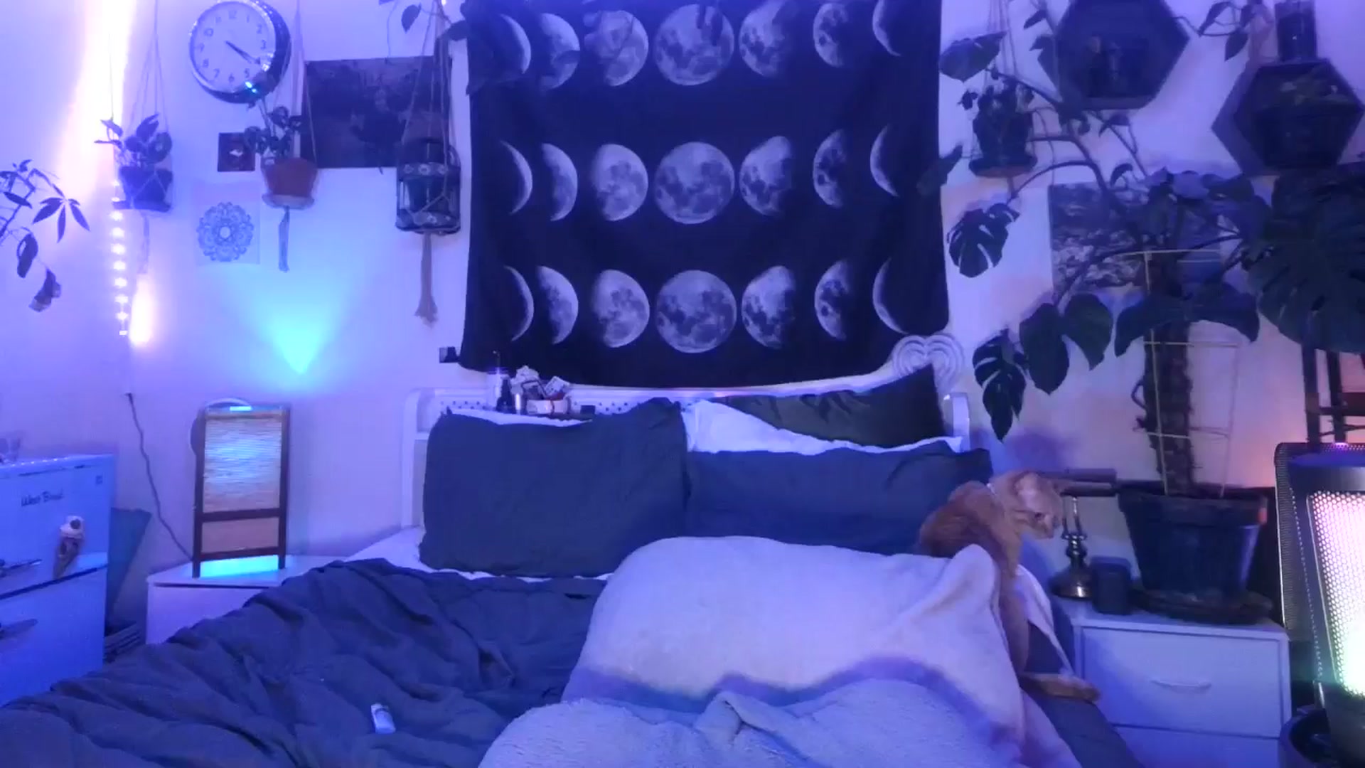 Gallery image thumbnail from LunarLexxx's myfreecams stream on, 08/01/2024, 07:26 image 11 of 20