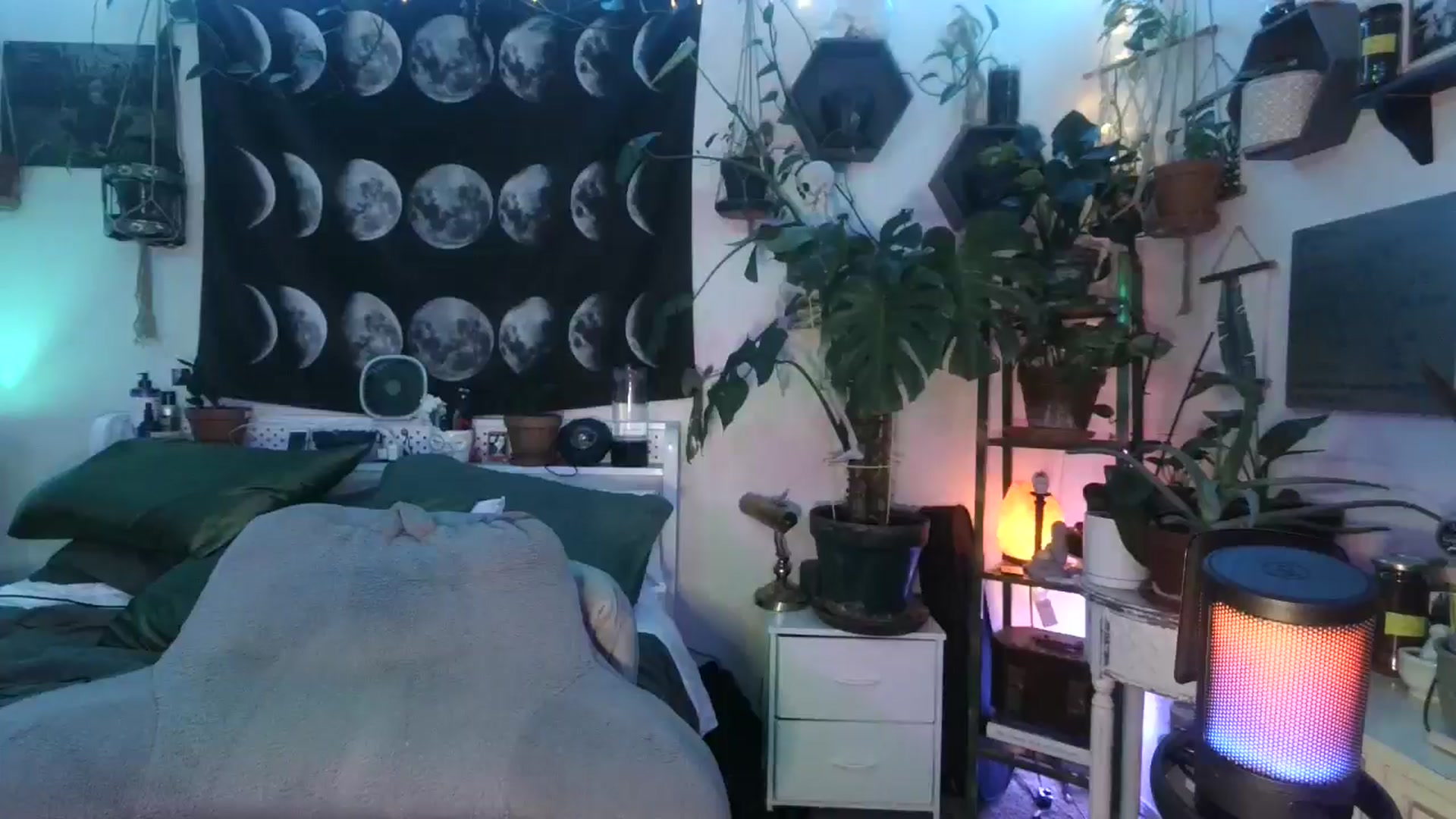 Gallery image thumbnail from LunarLexxx's myfreecams stream on, 08/23/2024, 10:40 image 20 of 20