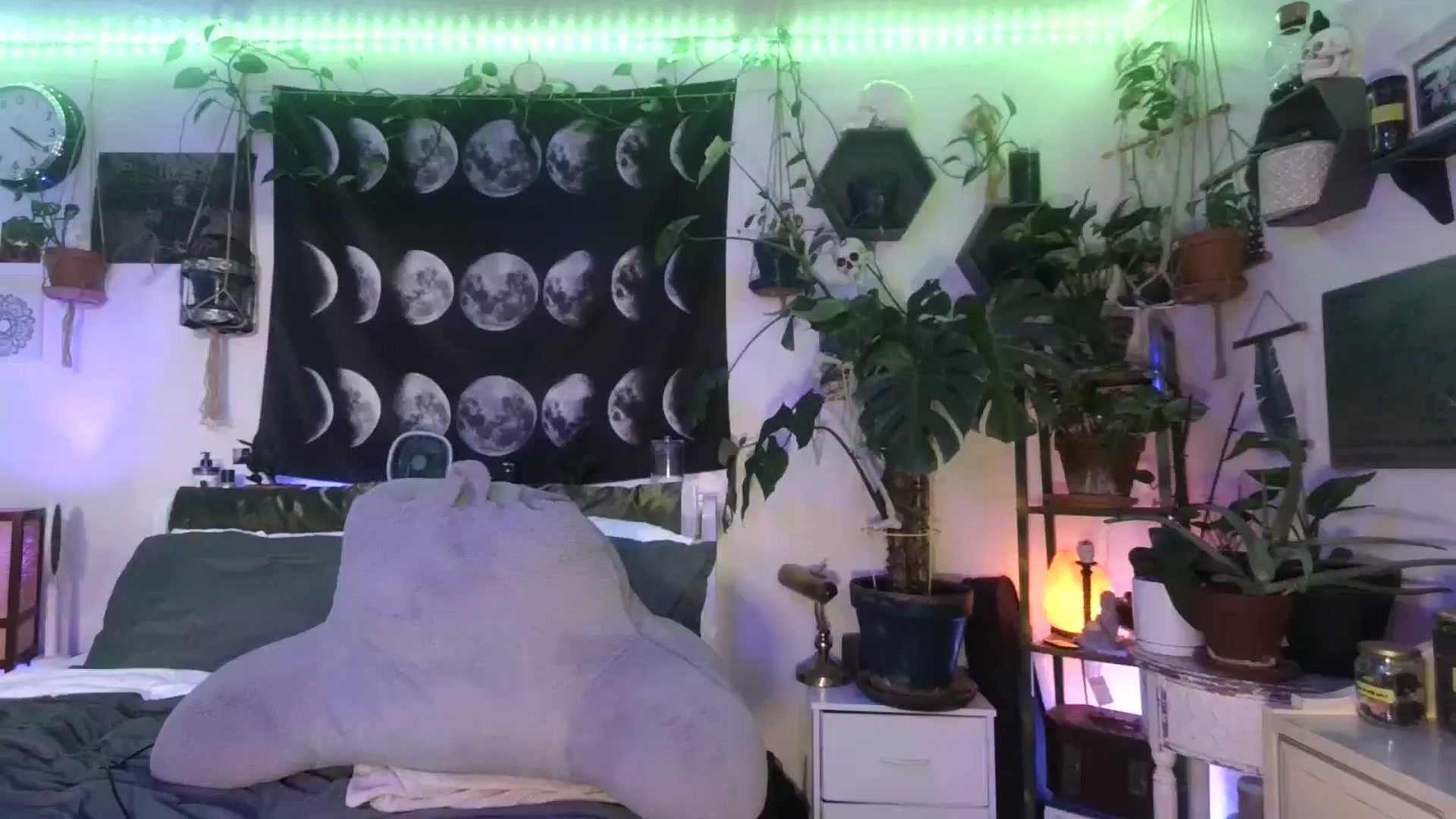Gallery image thumbnail from LunarLexxx's myfreecams stream on, 08/24/2024, 10:47 image 13 of 20