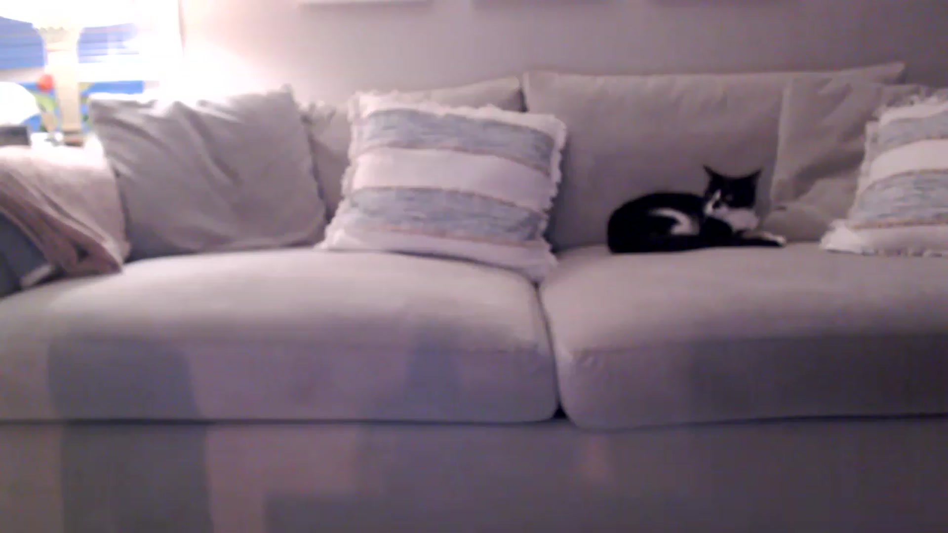 Gallery image thumbnail from Lust_4_Life's myfreecams stream on, 03/31/2023, 23:45 image 10 of 20