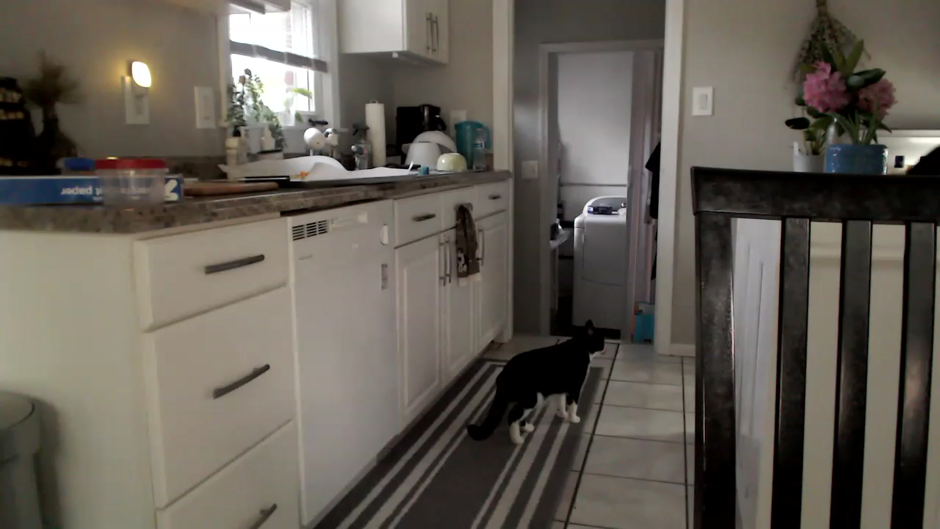 Gallery image thumbnail from Lust_4_Life's myfreecams stream on, 06/09/2023, 24:01 image 15 of 20