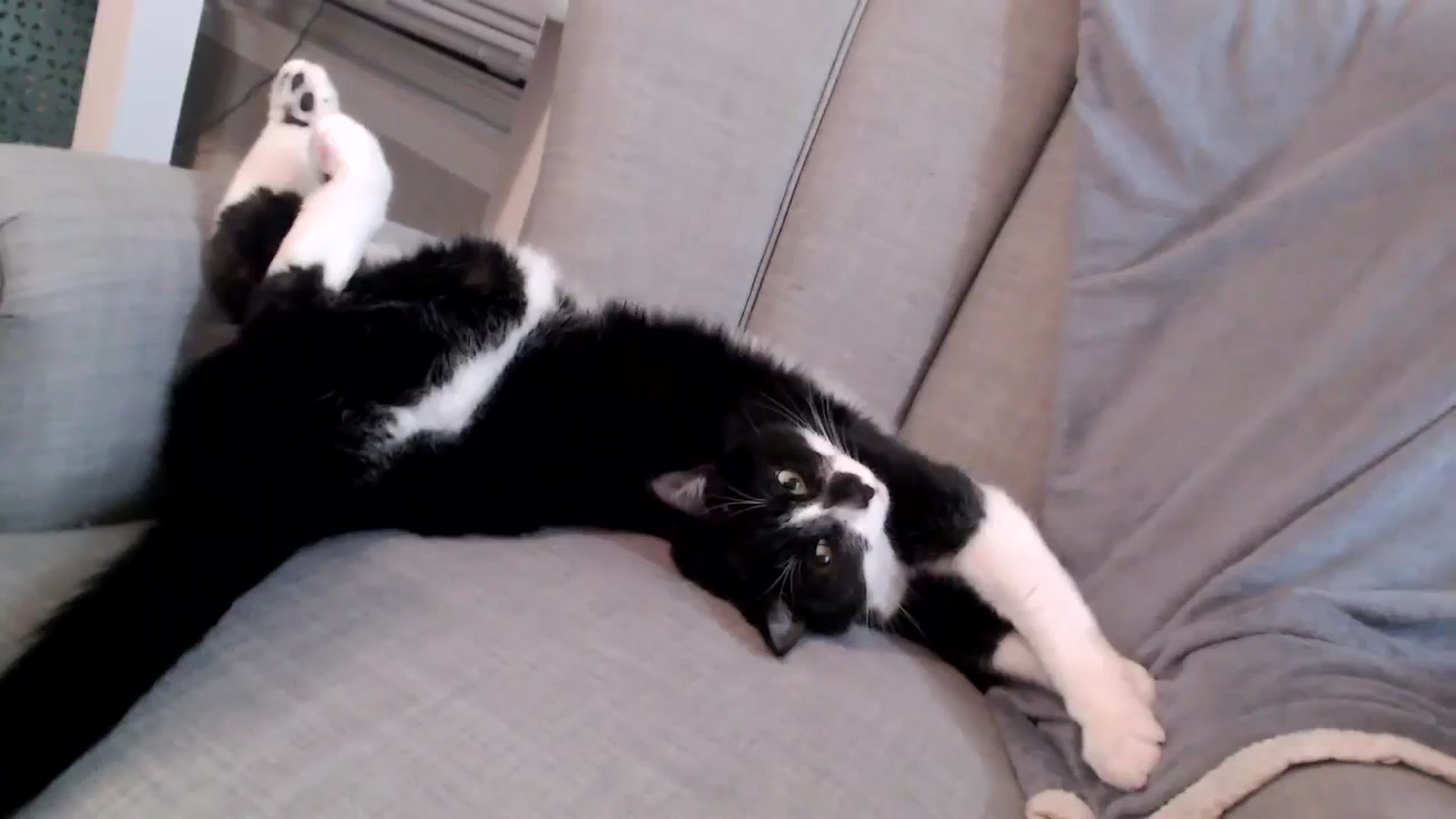 Gallery image thumbnail from Lust_4_Life's myfreecams stream on, 11/21/2023, 02:44 image 1 of 20