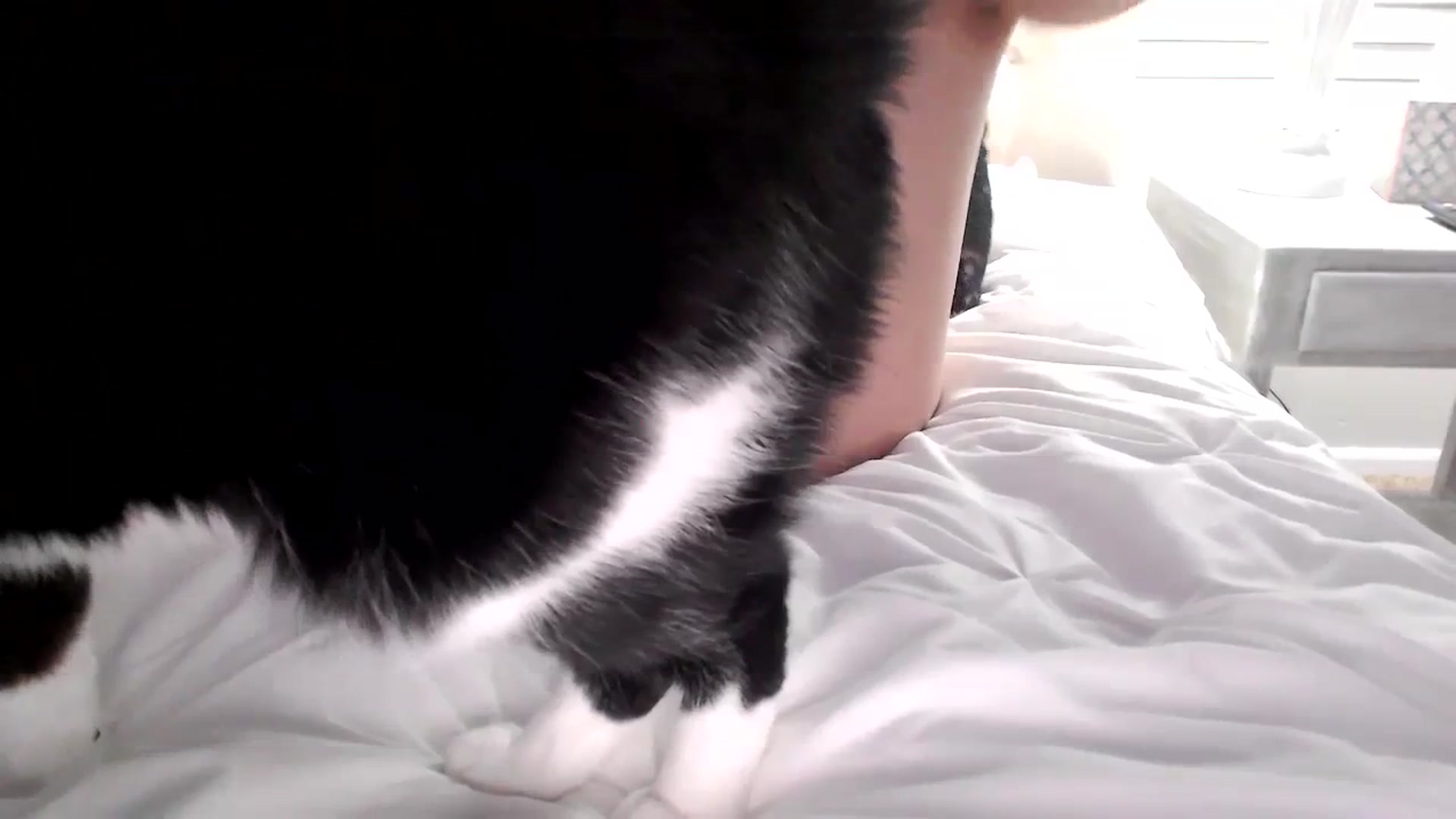 Gallery image thumbnail from Lust_4_Life's myfreecams stream on, 11/27/2023, 01:13 image 17 of 20