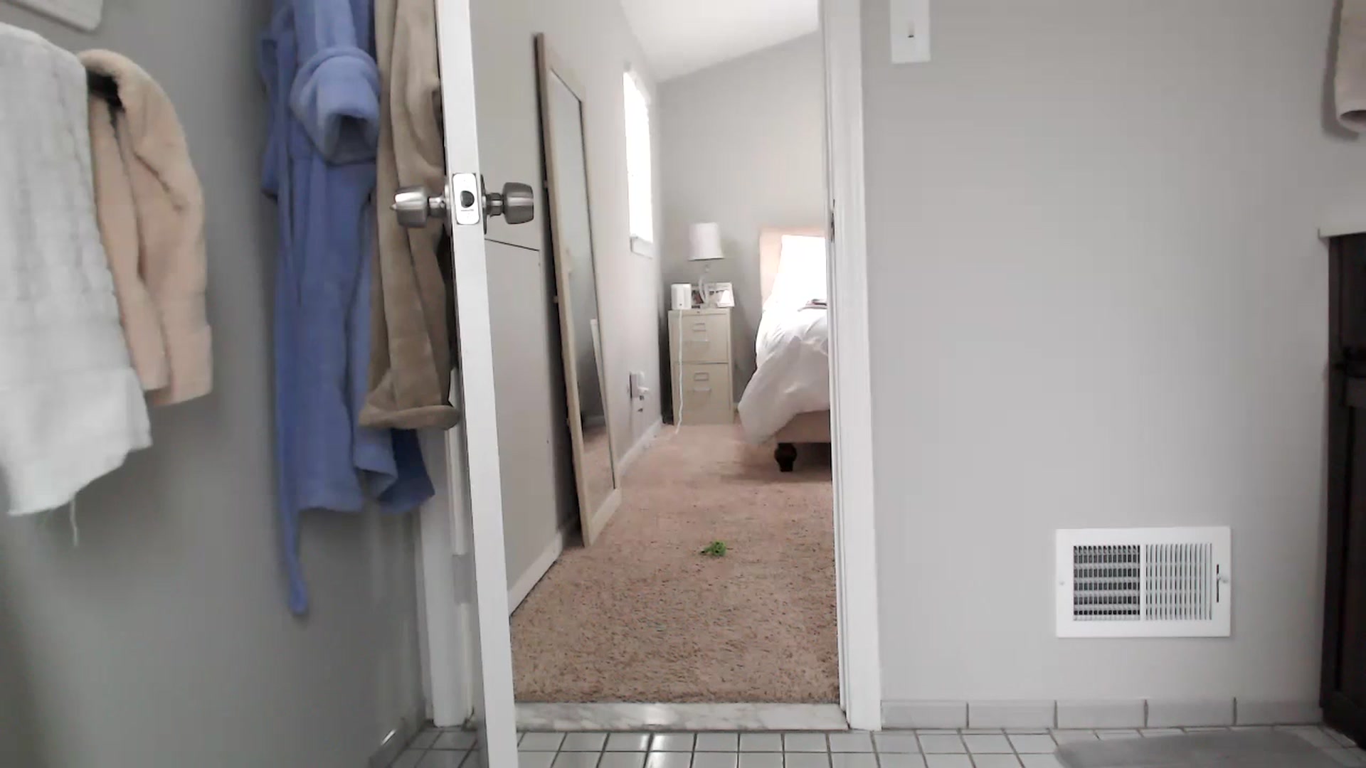 Gallery image thumbnail from Lust_4_Life's myfreecams stream on, 12/24/2023, 17:30 image 18 of 20