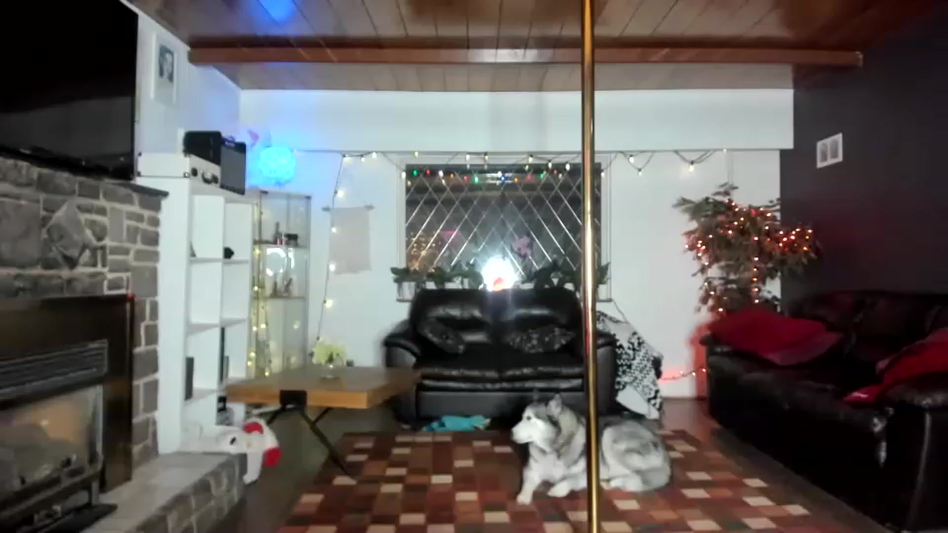 Gallery image thumbnail from Luubeam's myfreecams stream on, 11/22/2022, 03:26 image 19 of 20