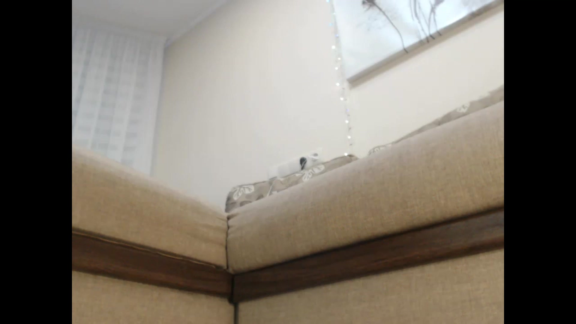 Gallery image thumbnail from LuvleeMelons's myfreecams stream on, 12/30/2022, 20:21 image 17 of 20