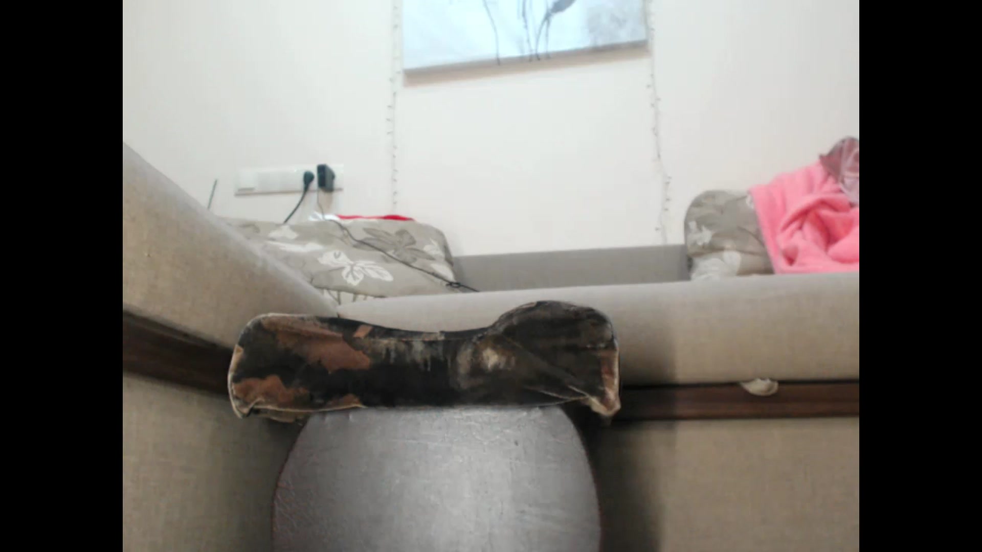Gallery image thumbnail from LuvleeMelons's myfreecams stream on, 01/16/2023, 18:38 image 6 of 20