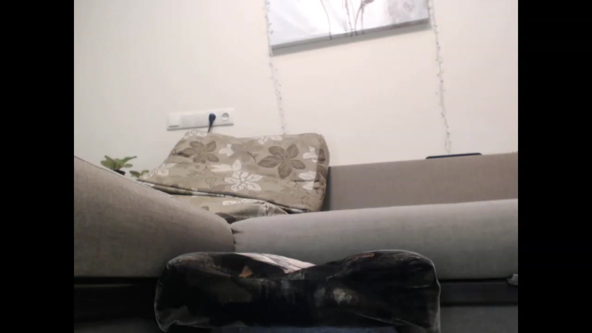 Gallery image thumbnail from LuvleeMelons's myfreecams stream on, 03/02/2023, 19:41 image 2 of 20