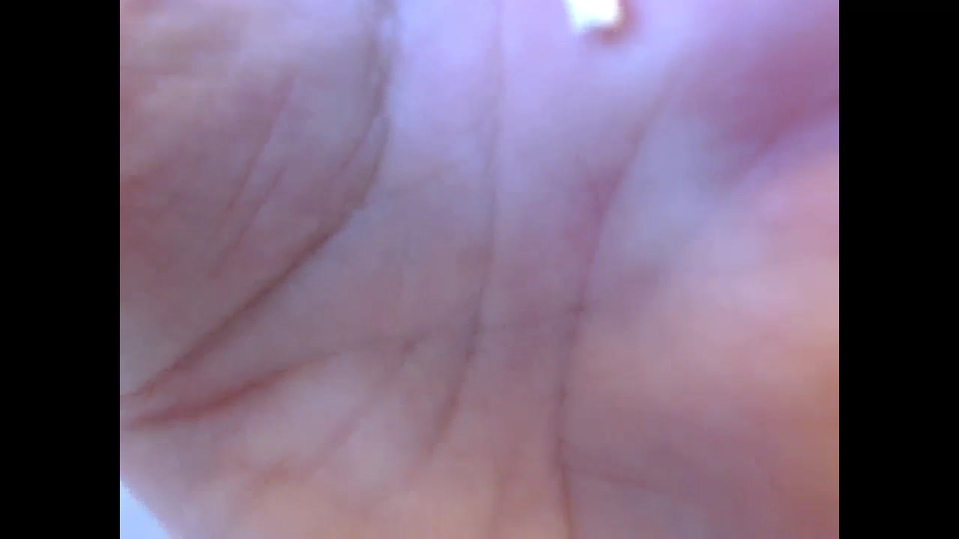 Gallery image thumbnail from LuvleeMelons's myfreecams stream on, 08/06/2023, 15:32 image 6 of 20