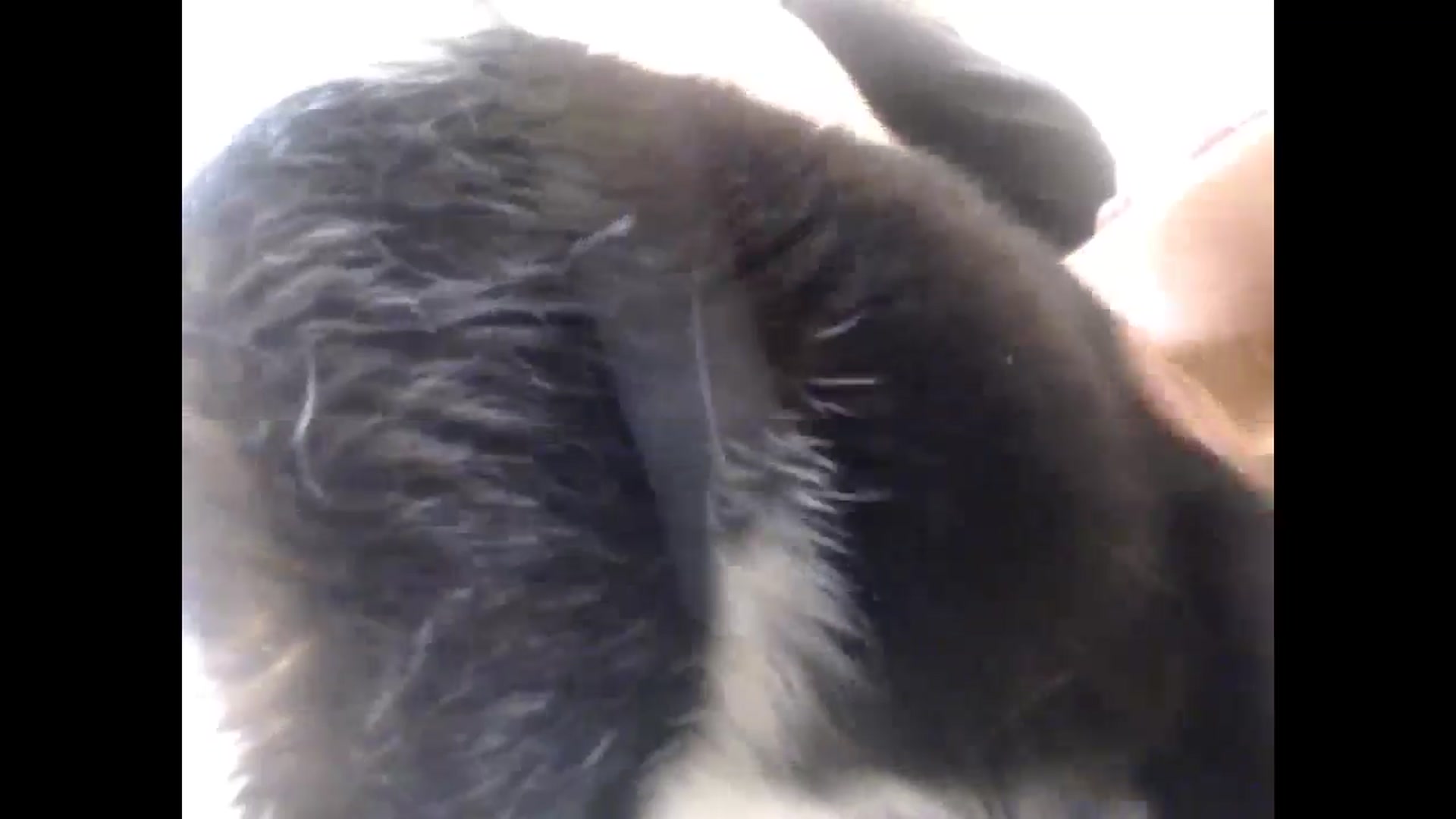 Gallery image thumbnail from LuvleeMelons's myfreecams stream on, 03/02/2025, 20:10 image 5 of 20