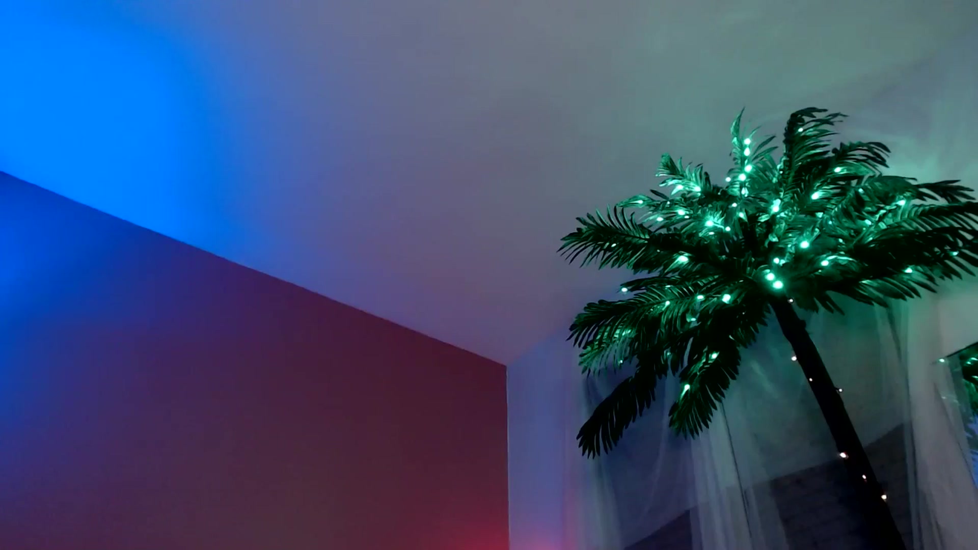 Gallery image thumbnail from LuxNeon's myfreecams stream on, 01/14/2026, 04:49 image 10 of 20