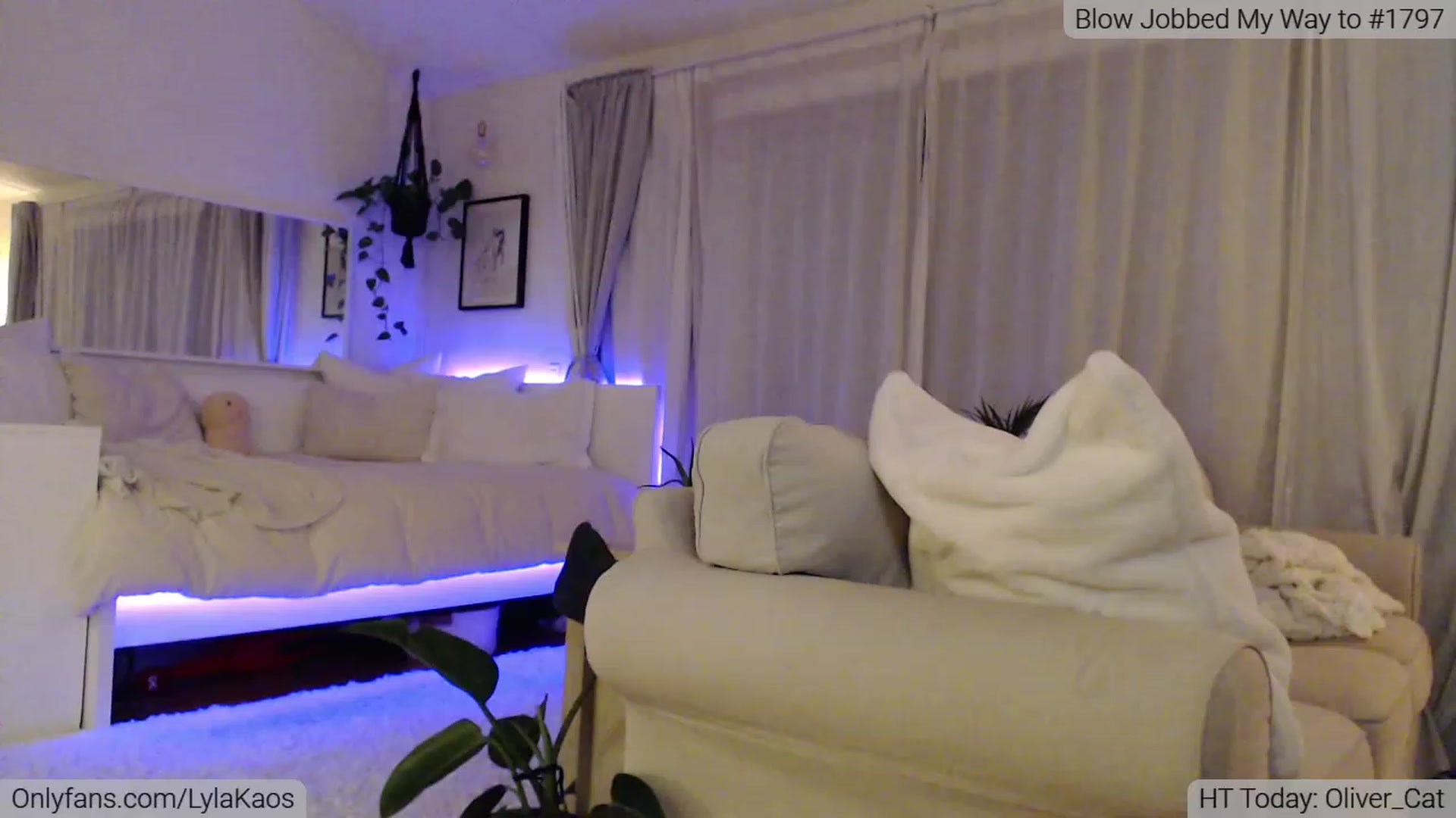 Gallery image thumbnail from LylaKaos's myfreecams stream on, 01/01/2023, 03:45 image 8 of 20