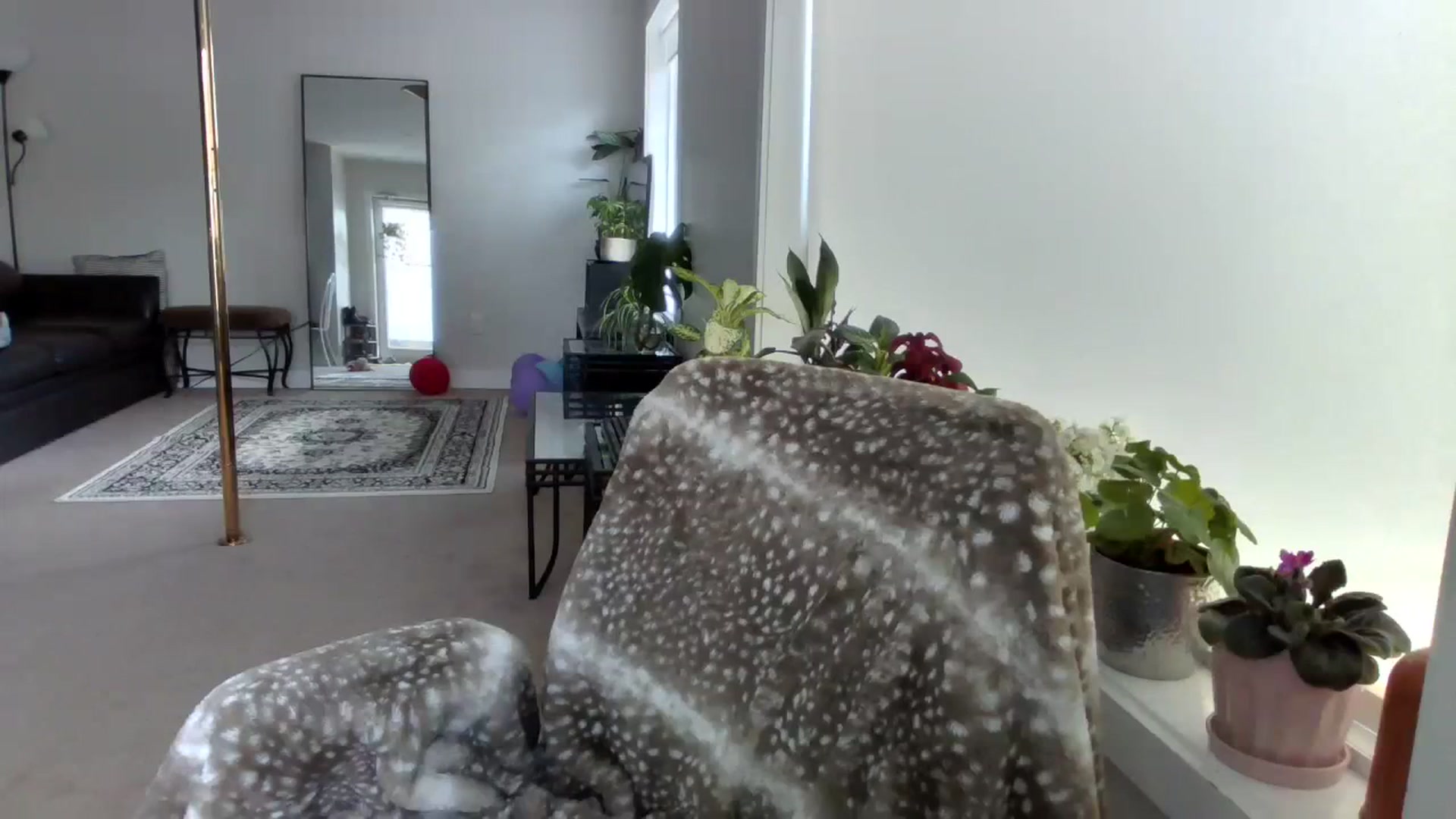 Gallery image thumbnail from Lyla_June's myfreecams stream on, 06/11/2023, 19:34 image 14 of 20