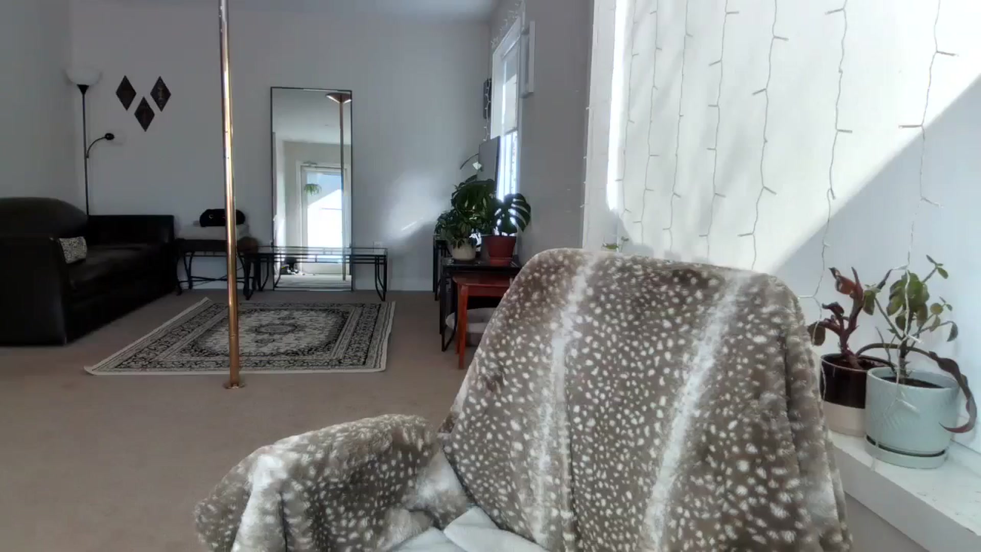 Gallery image thumbnail from Lyla_June's myfreecams stream on, 02/12/2024, 22:09 image 15 of 20