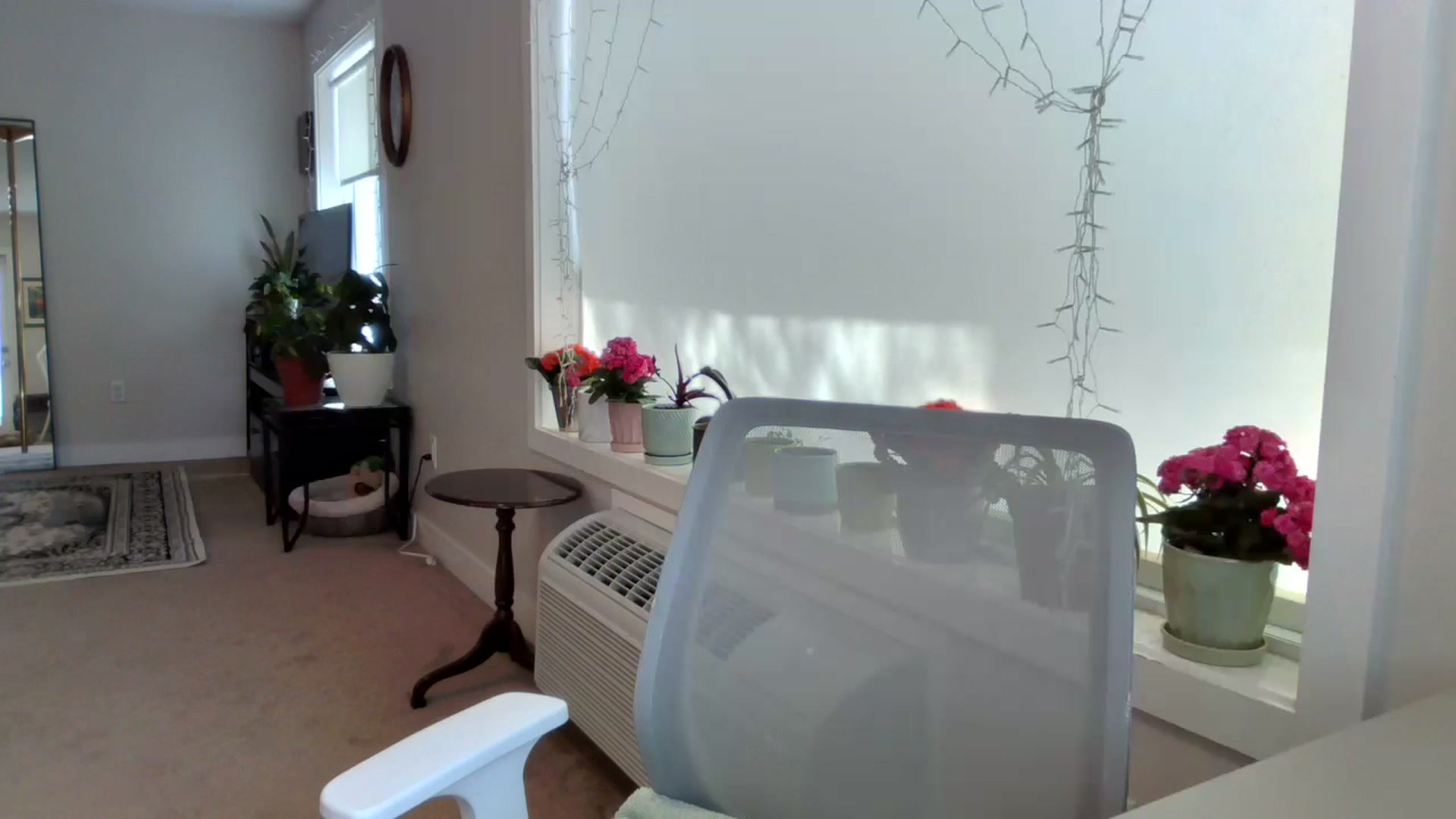 Gallery image thumbnail from Lyla_June's myfreecams stream on, 05/02/2024, 19:57 image 16 of 20