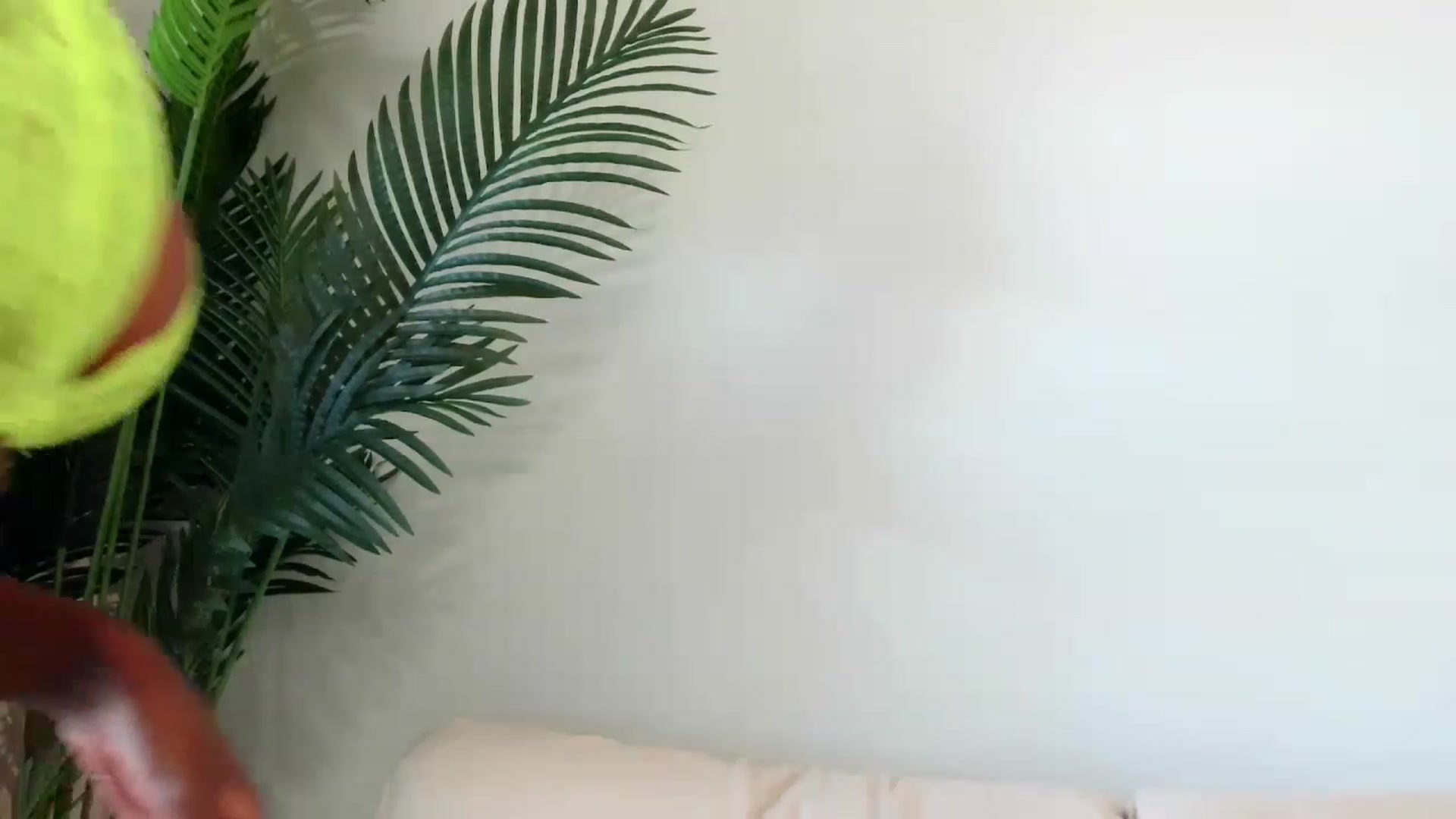 Gallery image thumbnail from Lylajone's myfreecams stream on, 08/09/2023, 15:45 image 10 of 20