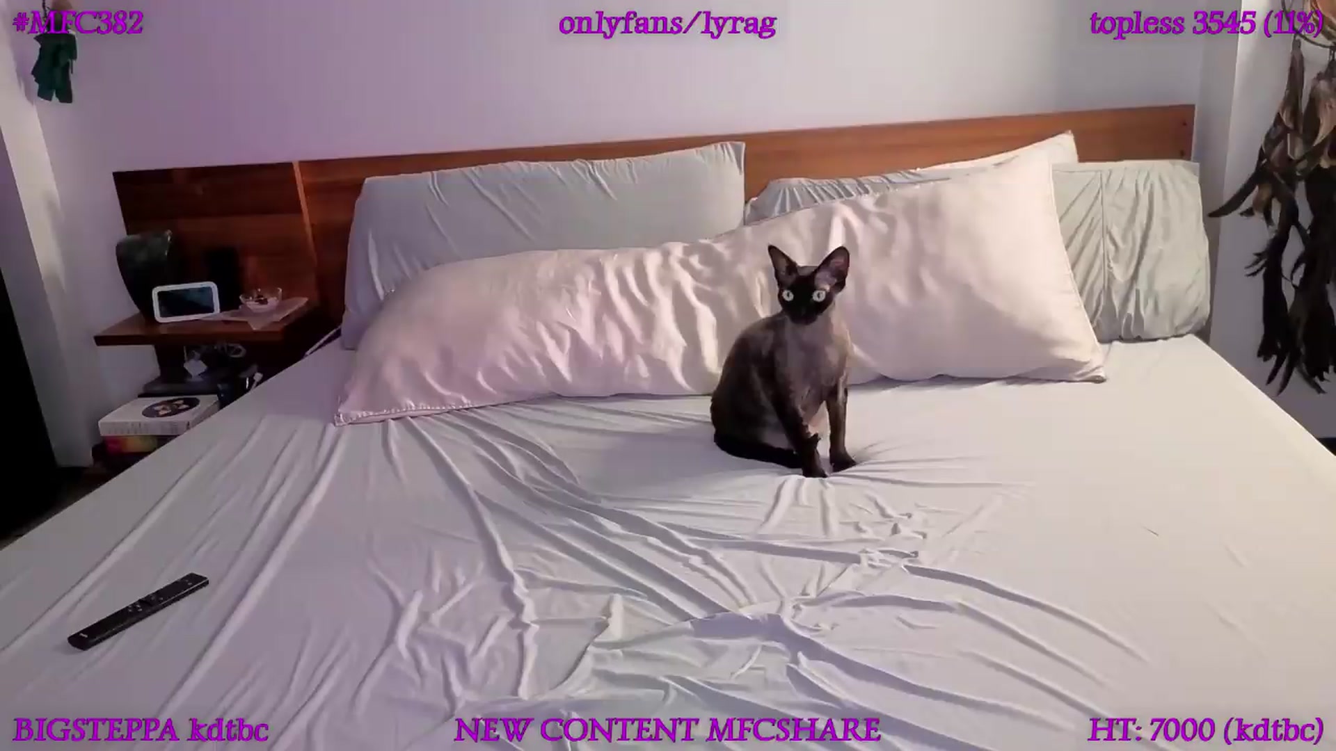 Gallery image thumbnail from LyraG's myfreecams stream on, 06/29/2026, 01:27 image 17 of 20