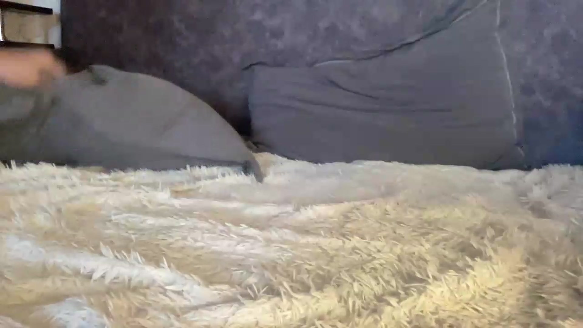 Gallery image thumbnail from LyraSable's myfreecams stream on, 08/16/2026, 13:29 image 4 of 20
