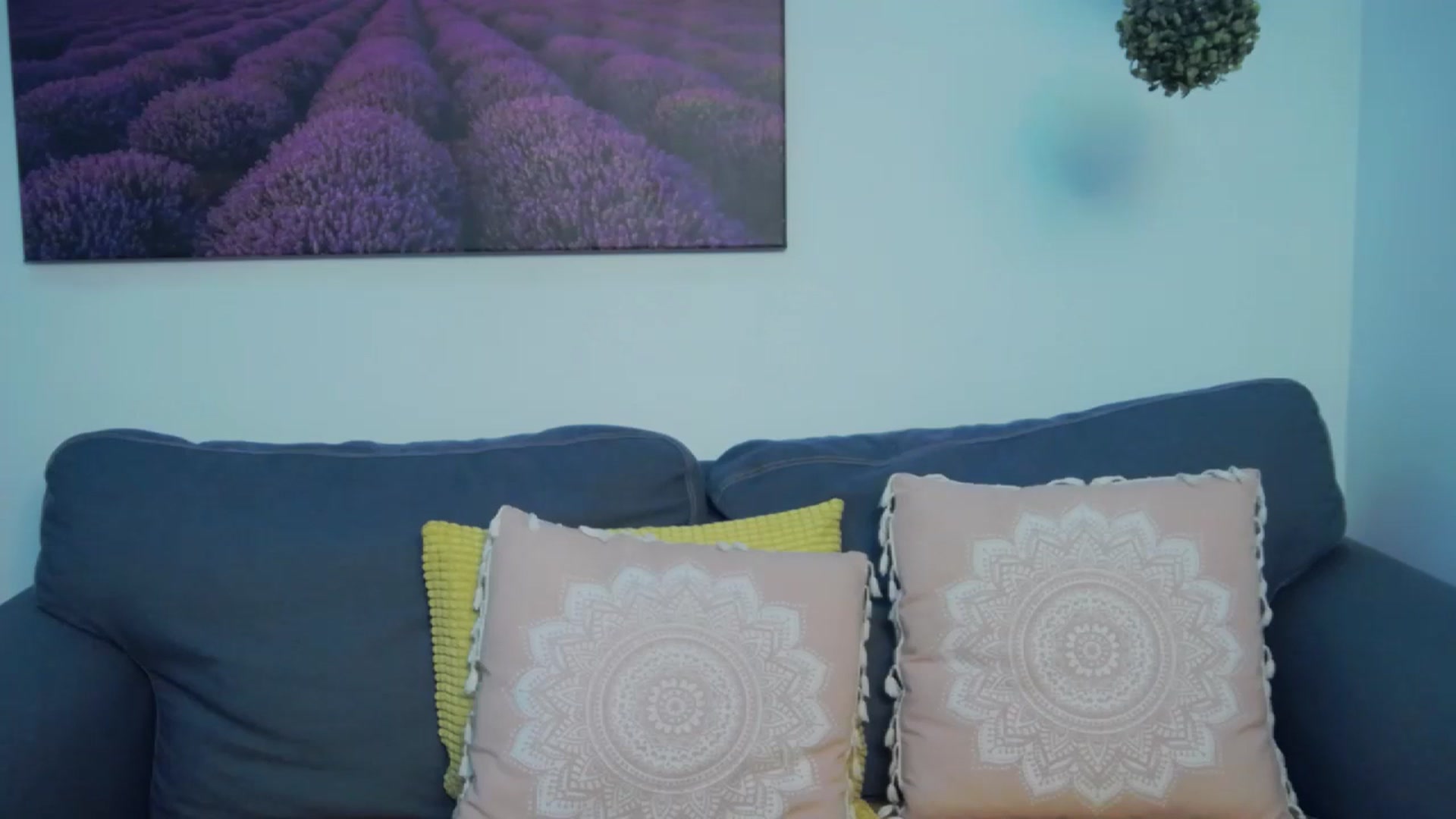 Gallery image thumbnail from LysAddiction's myfreecams stream on, 12/23/2023, 18:31 image 17 of 20