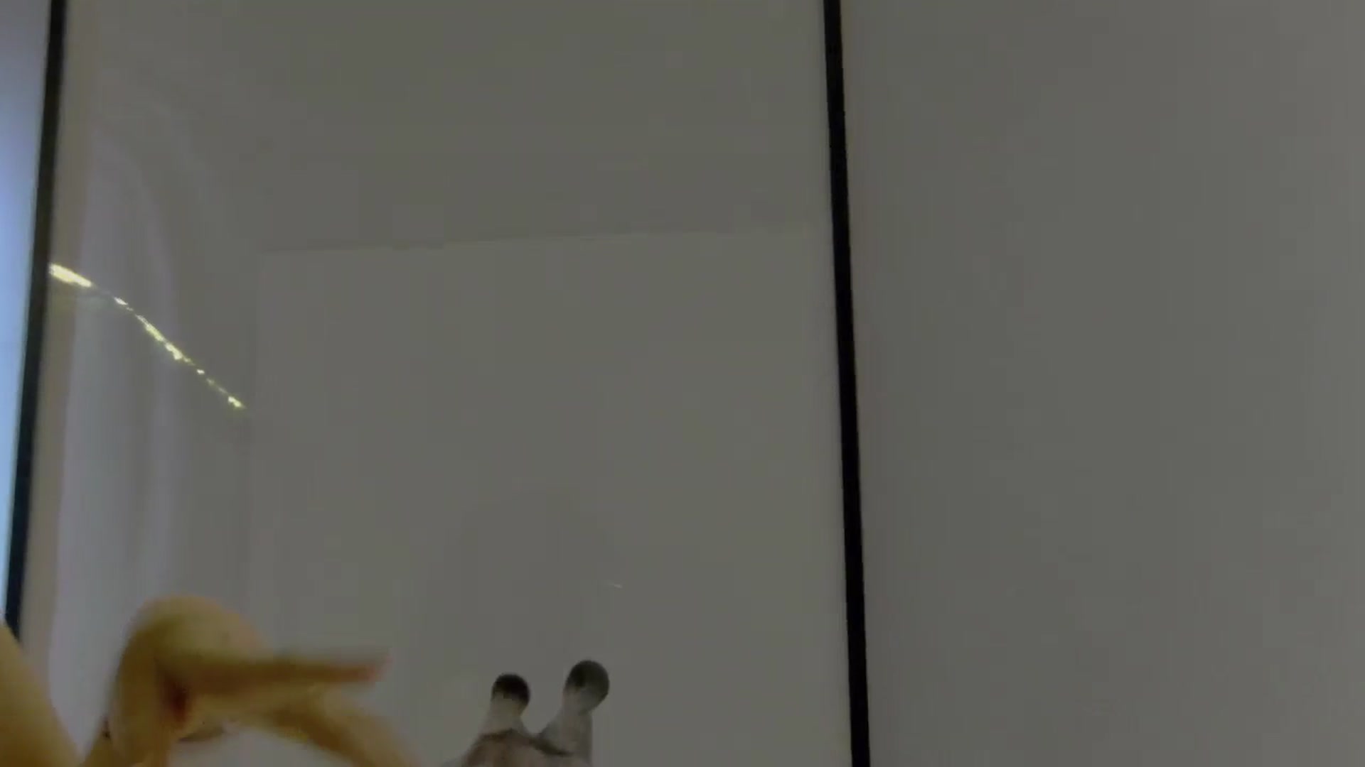 Gallery image thumbnail from LysAddiction's myfreecams stream on, 01/18/2025, 20:09 image 7 of 20