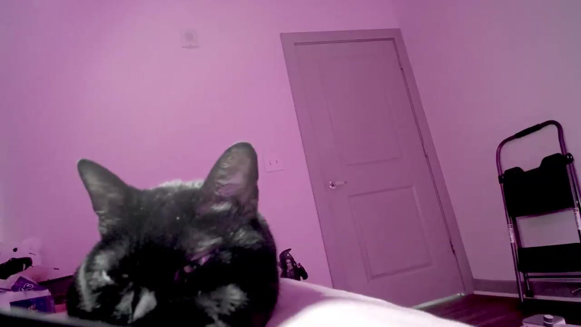 Gallery image thumbnail from Lysergia's myfreecams stream on, 09/04/2026, 19:46 image 12 of 20