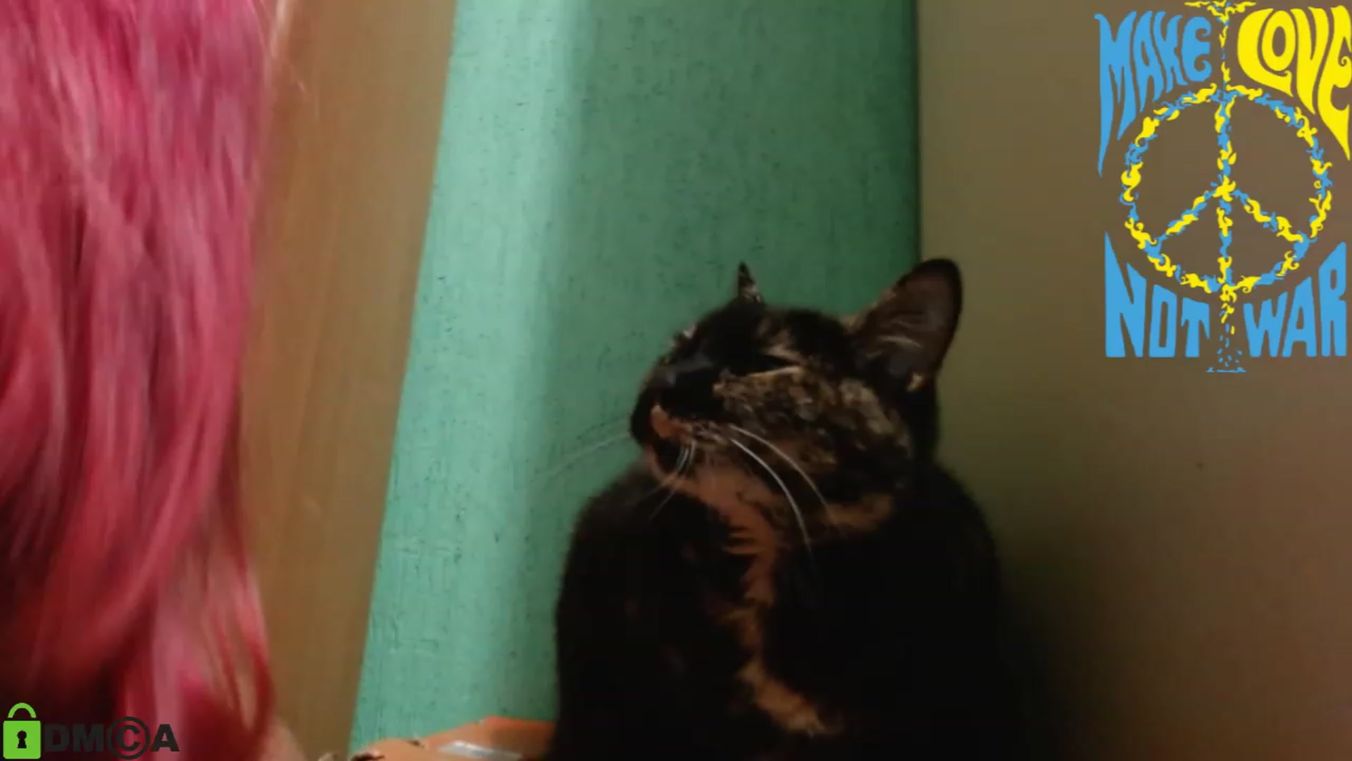 Gallery image thumbnail from MEDIA_'s myfreecams stream on, 06/28/2023, 23:07 image 4 of 20